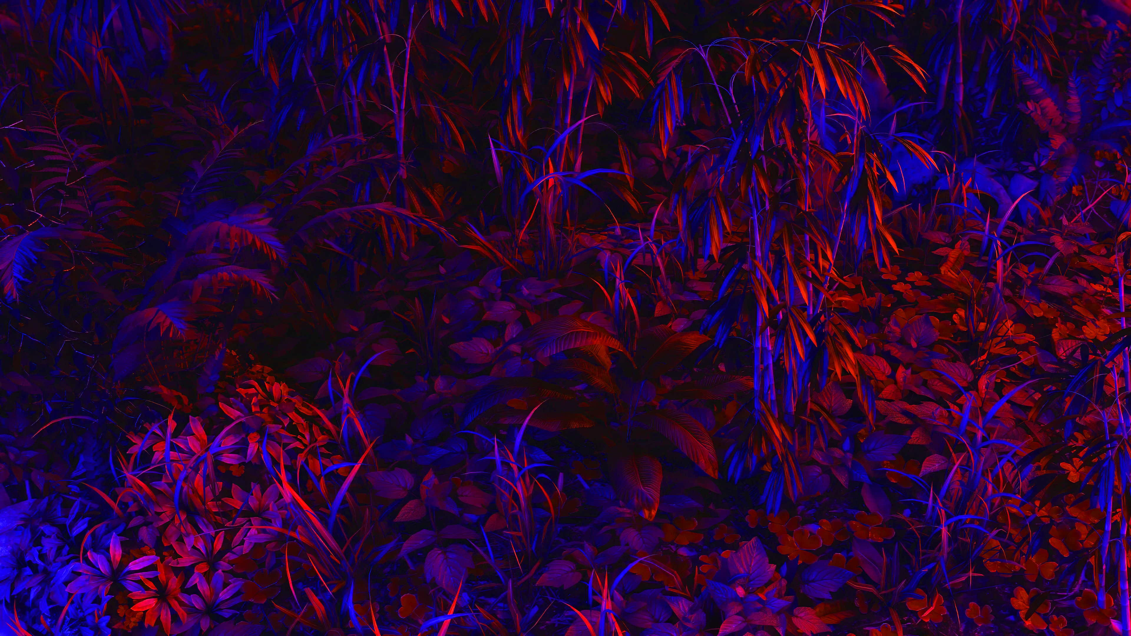 Exotic Plants Ferns Grass Blue Red Neon Bright 3840x2160