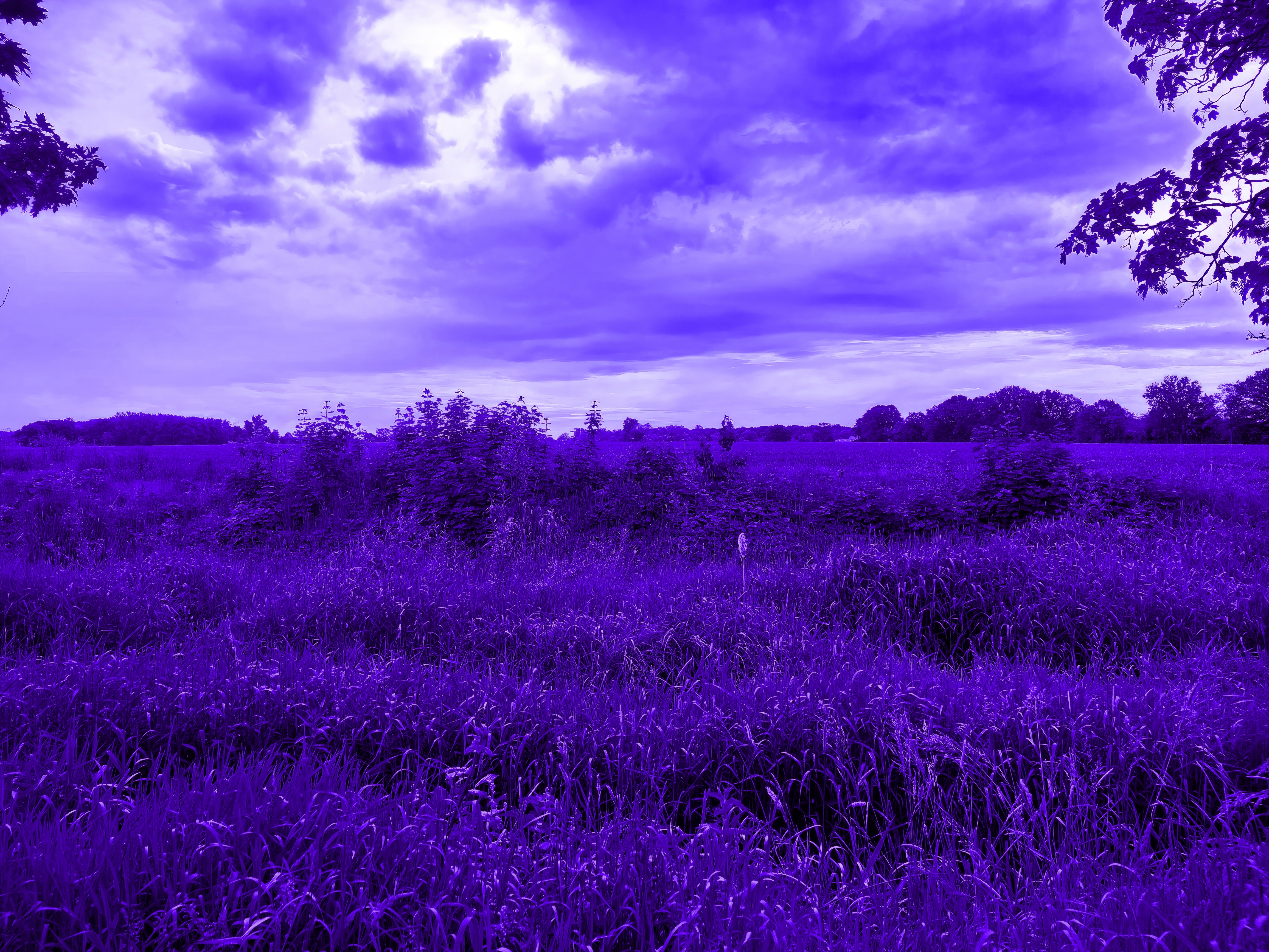 Blue Purple Sky Clouds Grass Surreal Scenery 4624x3468