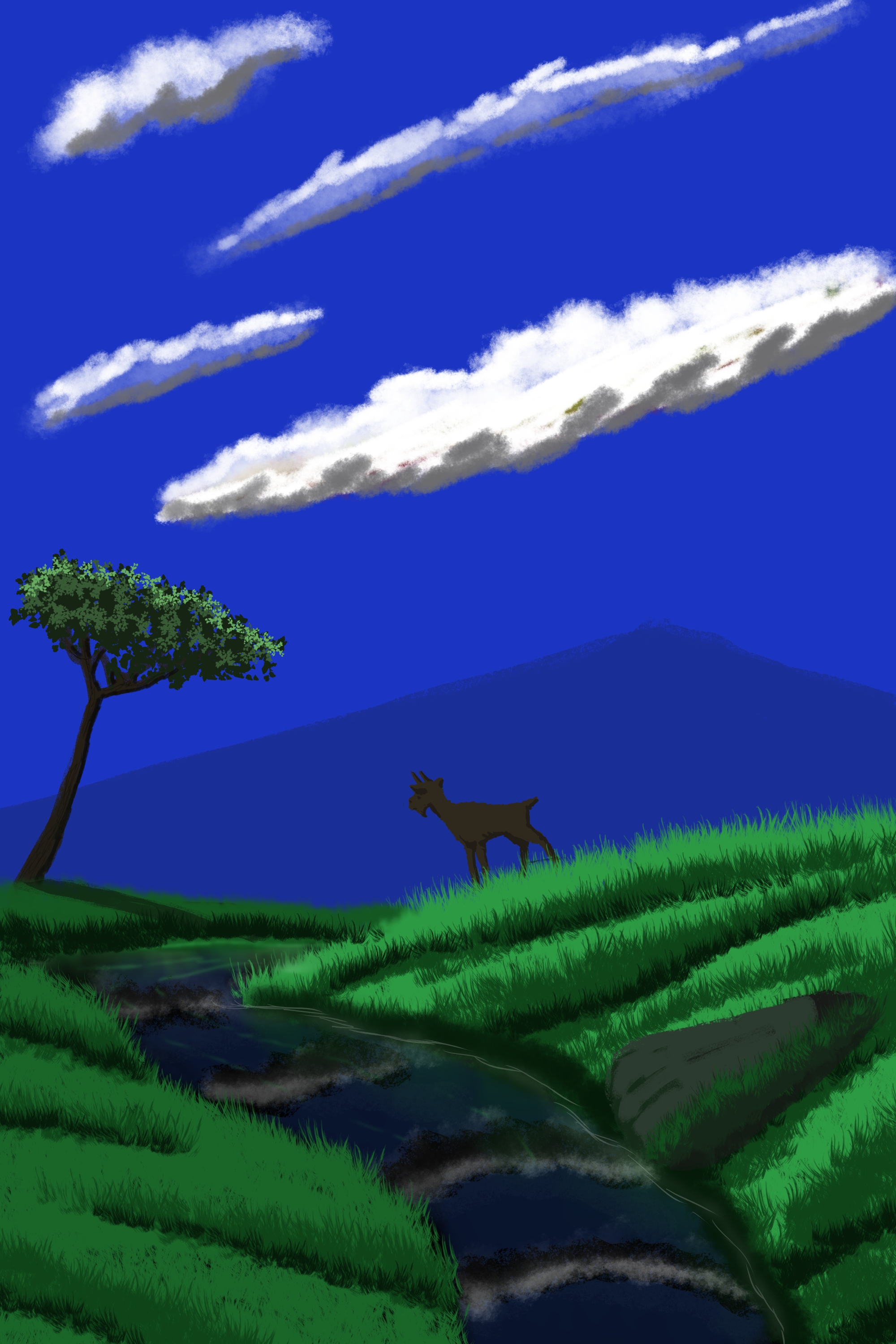 Goats Stones Trees Mountains Clouds River Grass Water 2000x3000