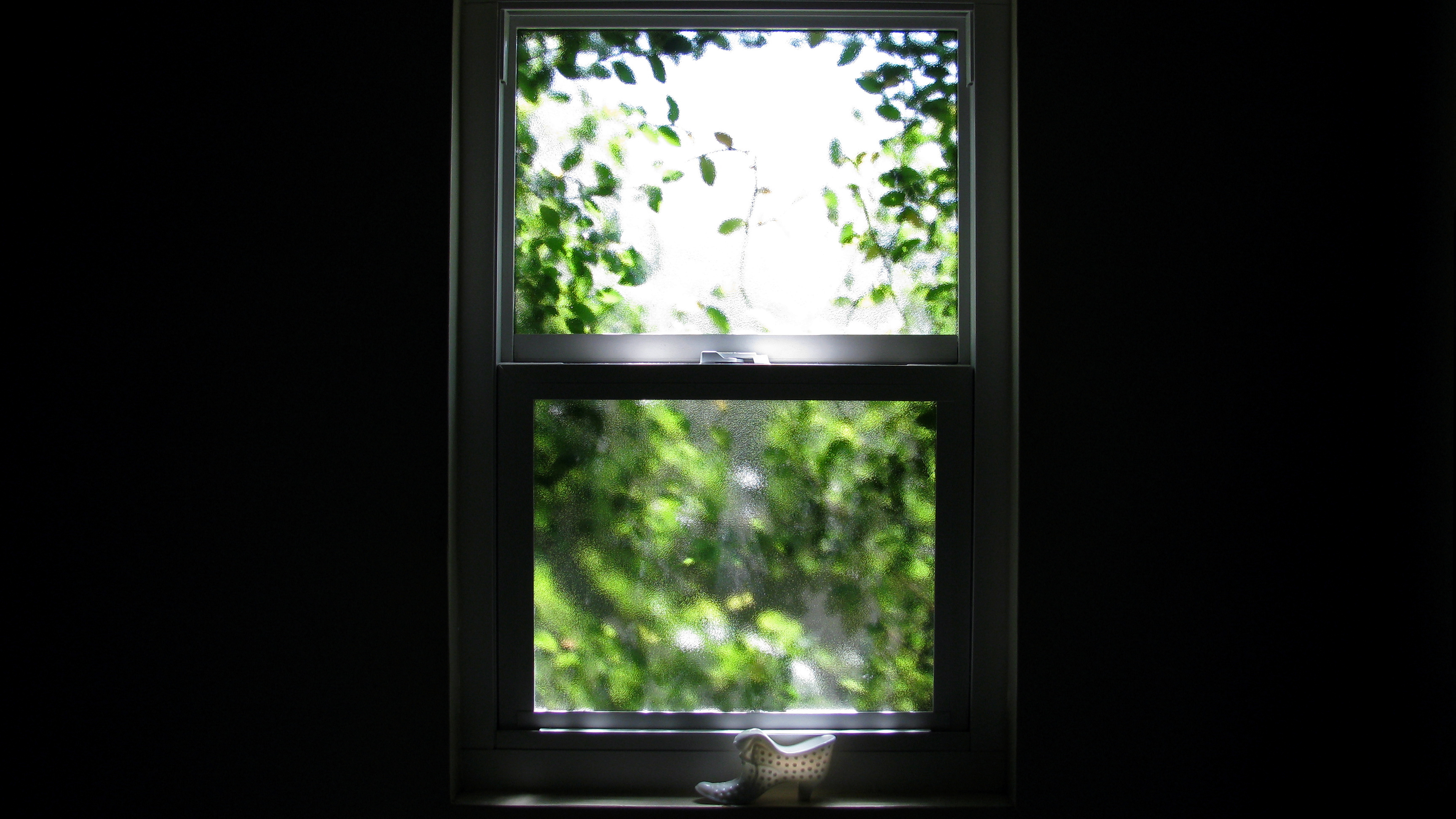 Window Vines Green Daylight Photography 3456x1944