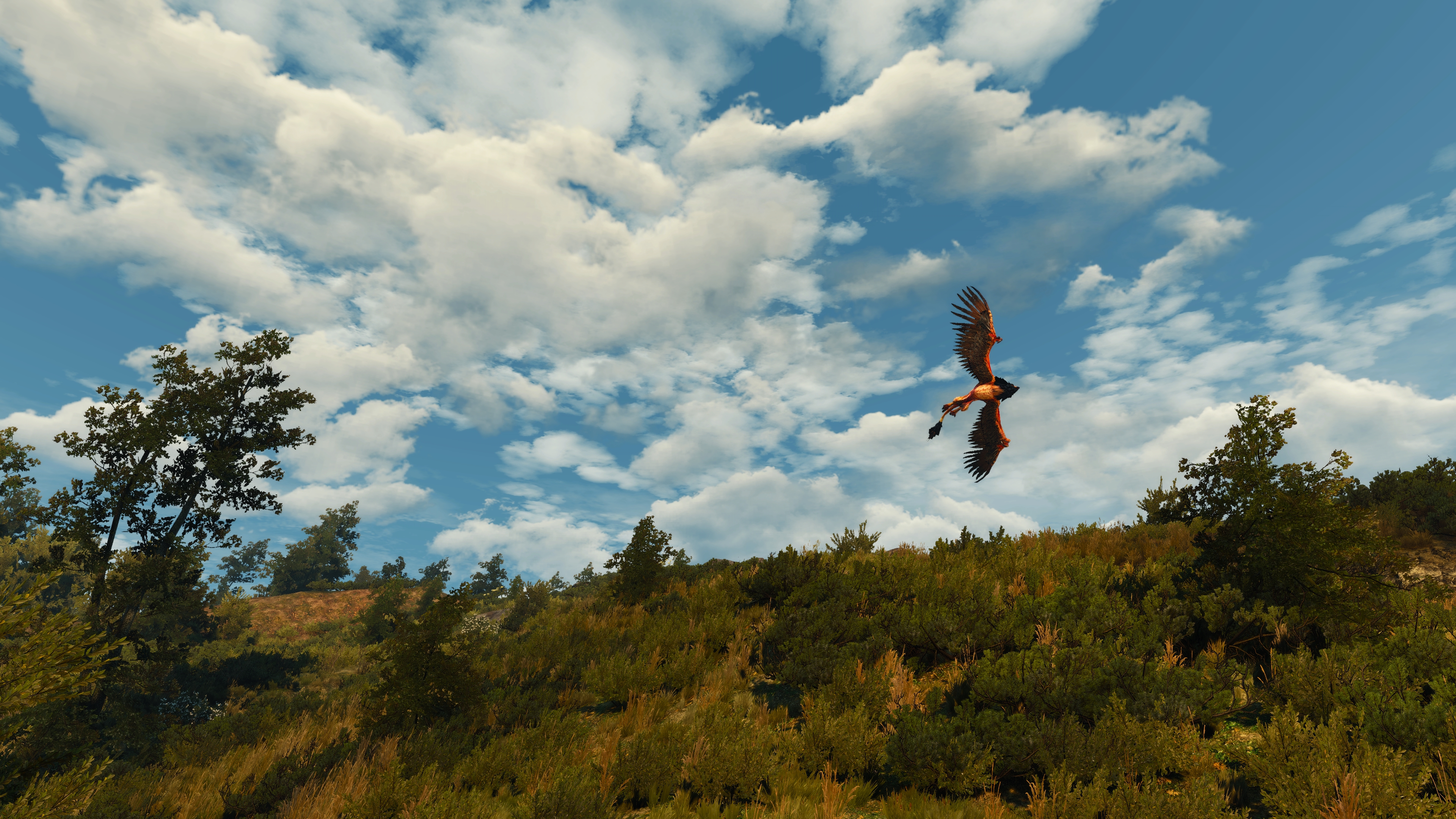 The Witcher 3 Wild Hunt Screen Shot PC Gaming The Witcher 3 Wild Hunt Blood And Wine Griffon 3840x2160