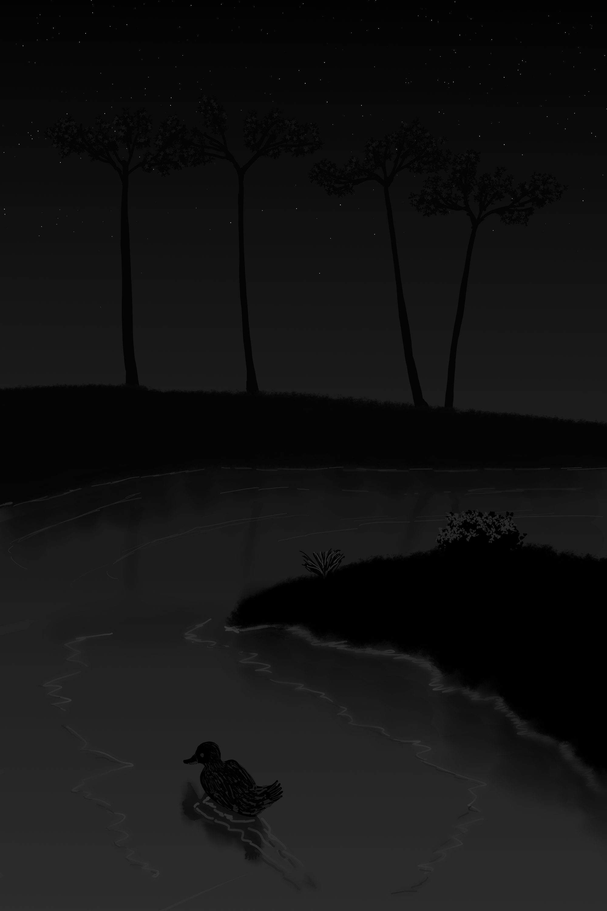 Duck River Dark Trees Water Grass Stars Monochrome Reflection 2000x3000