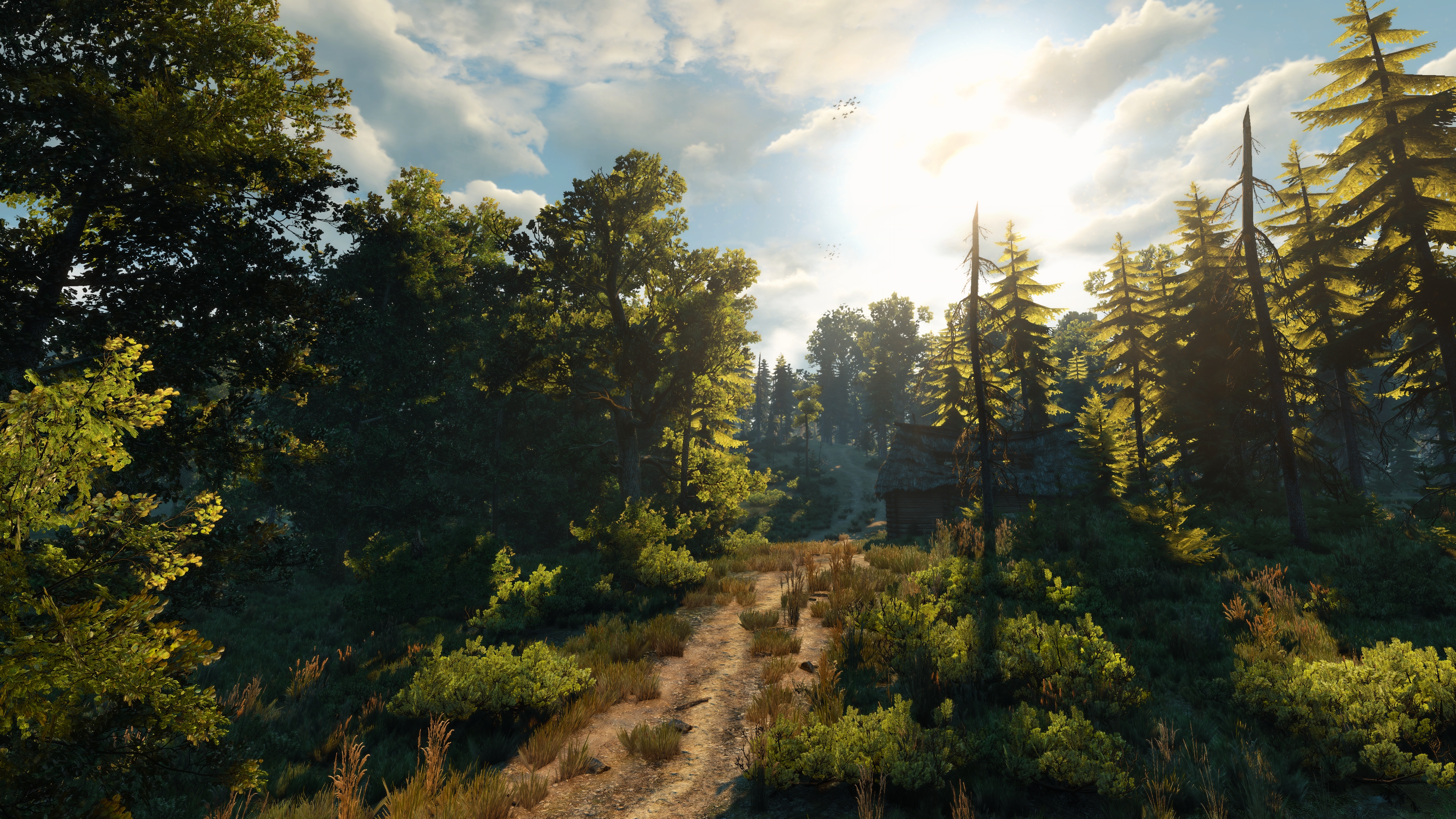 The Witcher 3 Wild Hunt Screen Shot Video Games Forest The Witcher 3840x2160