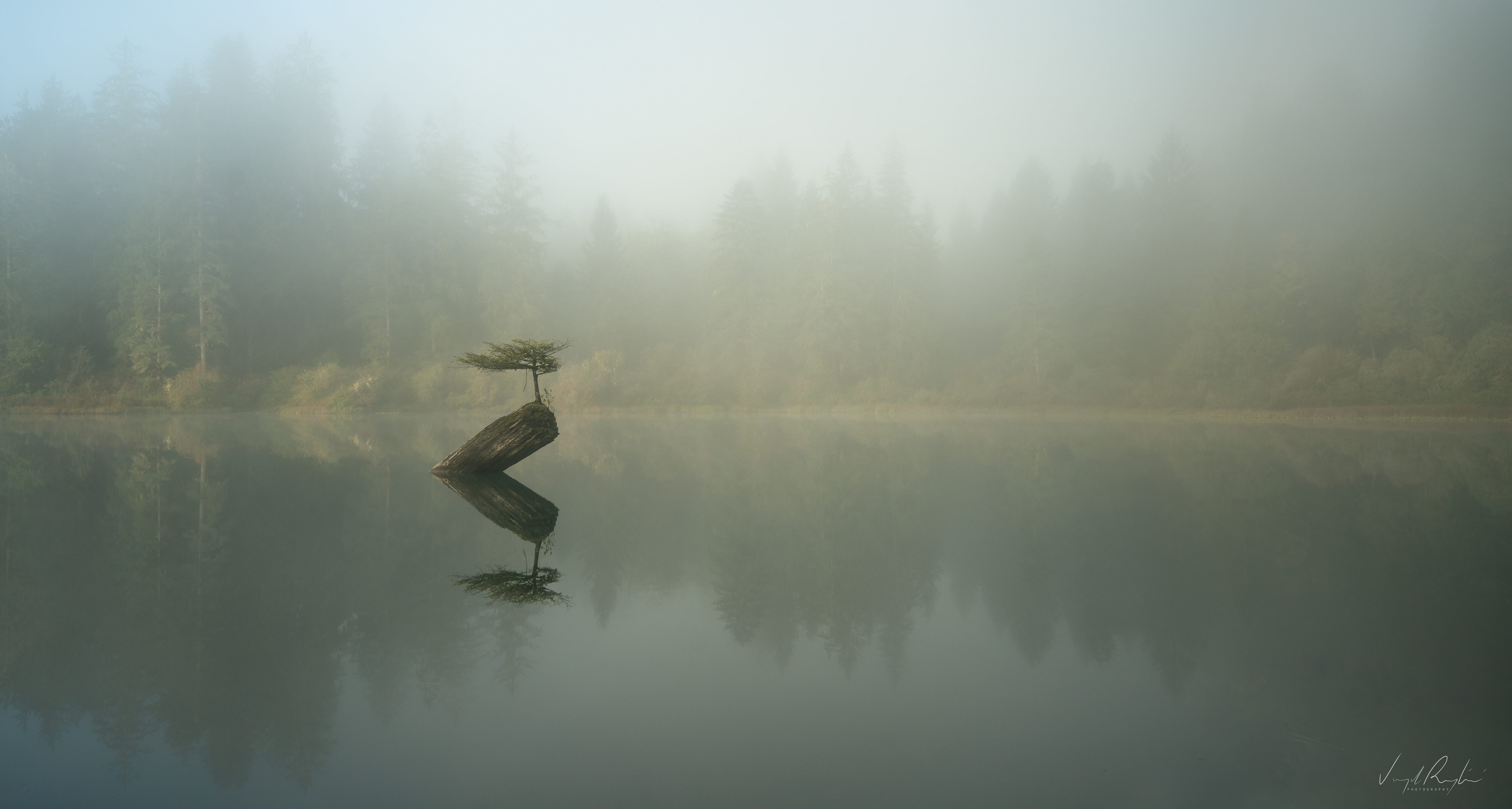 Photography Virgil Reglioni Nature Environment Calm Waters Landscape Trees Forest Mist Fog Lake Rive 5120x2738