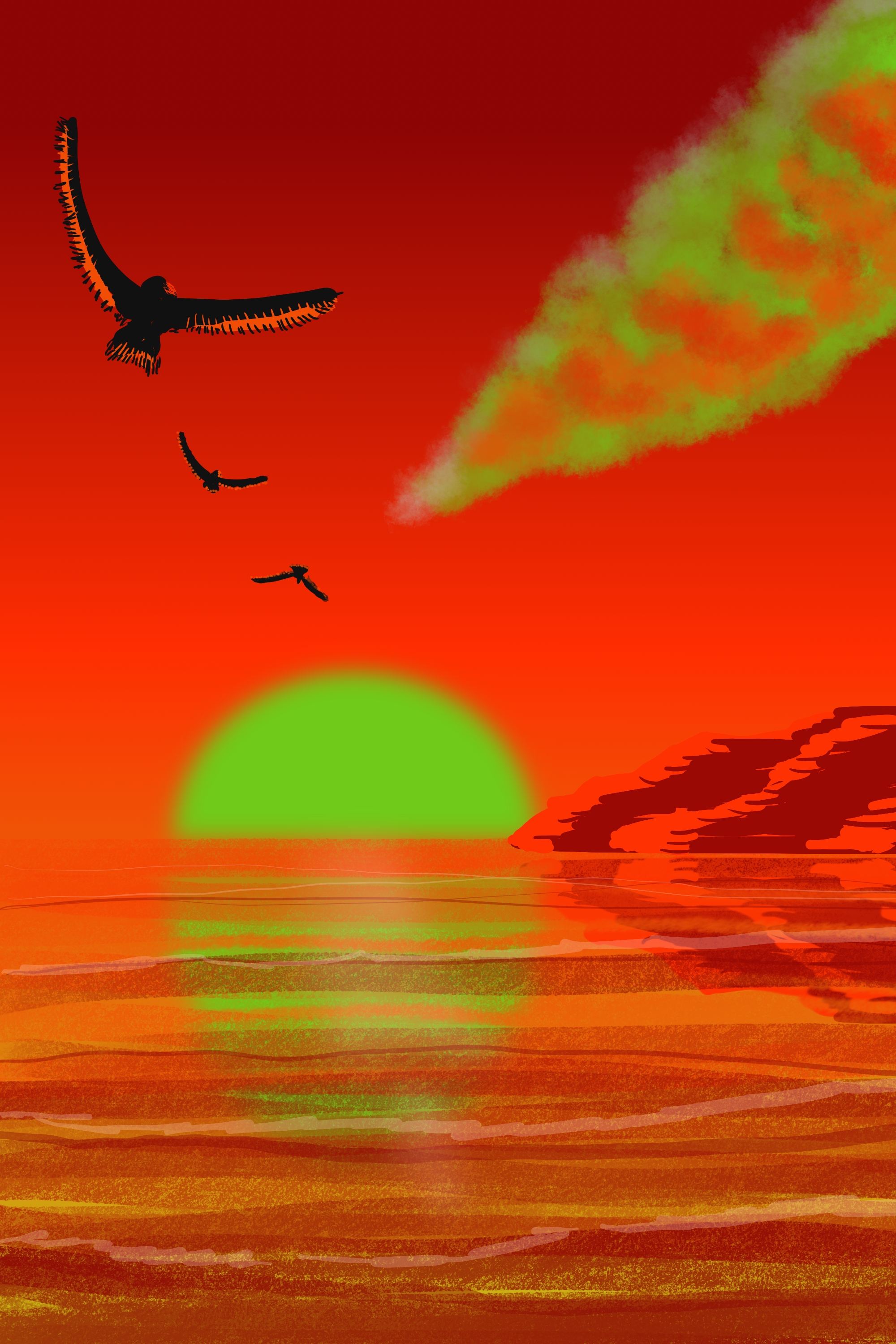 Sunset Sea Birds Mountains Sun Clouds Reflection 2000x3000