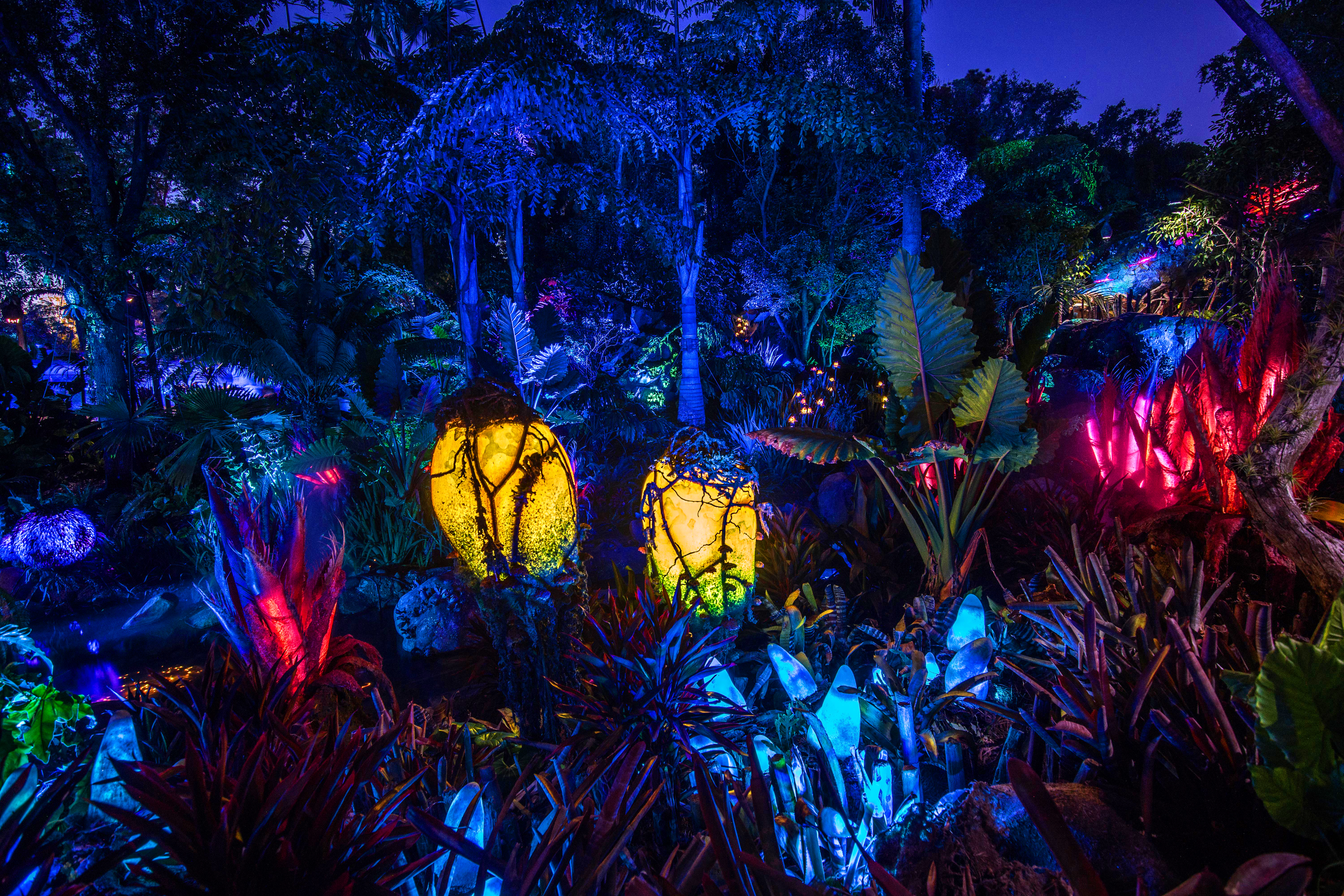 Exotic Colorful Neon Plants Trees Grass Blue Red Lamp Avatar Mushroom 6000x4000