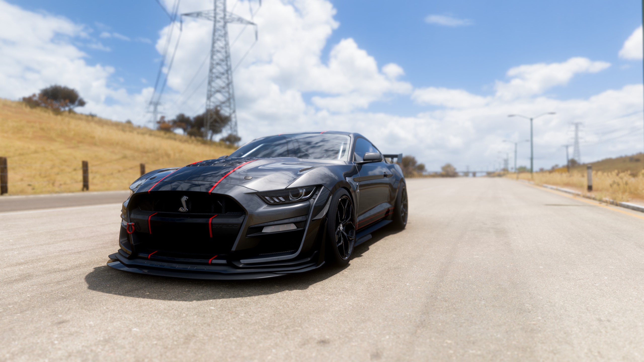 Forza Horizon 5 Ford Mustang Ford Mustang Shelby Car 2560x1440