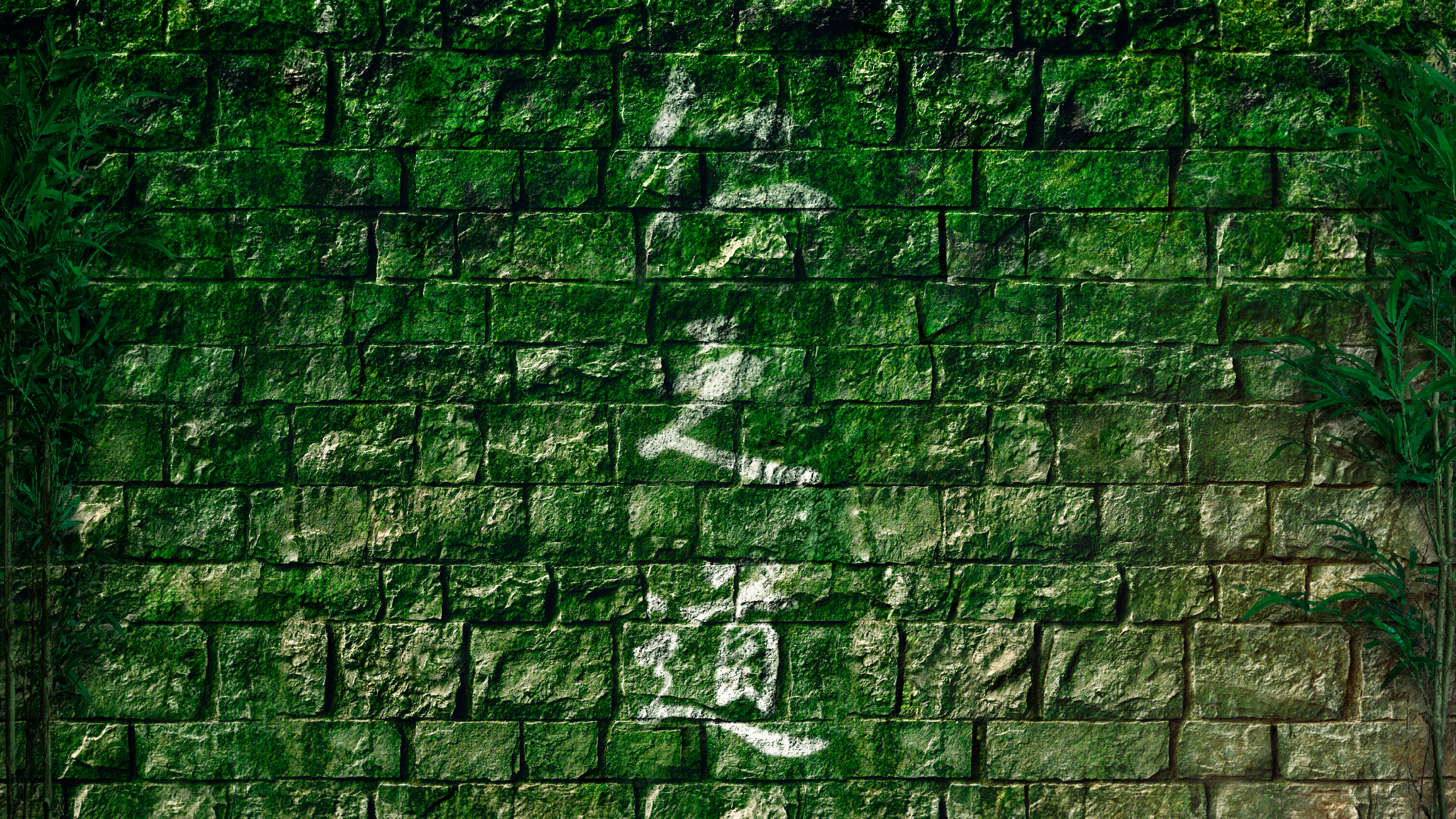 Wall Bamboo Moss Hieroglyphs Stones Rocks Outdoors 2560x1440