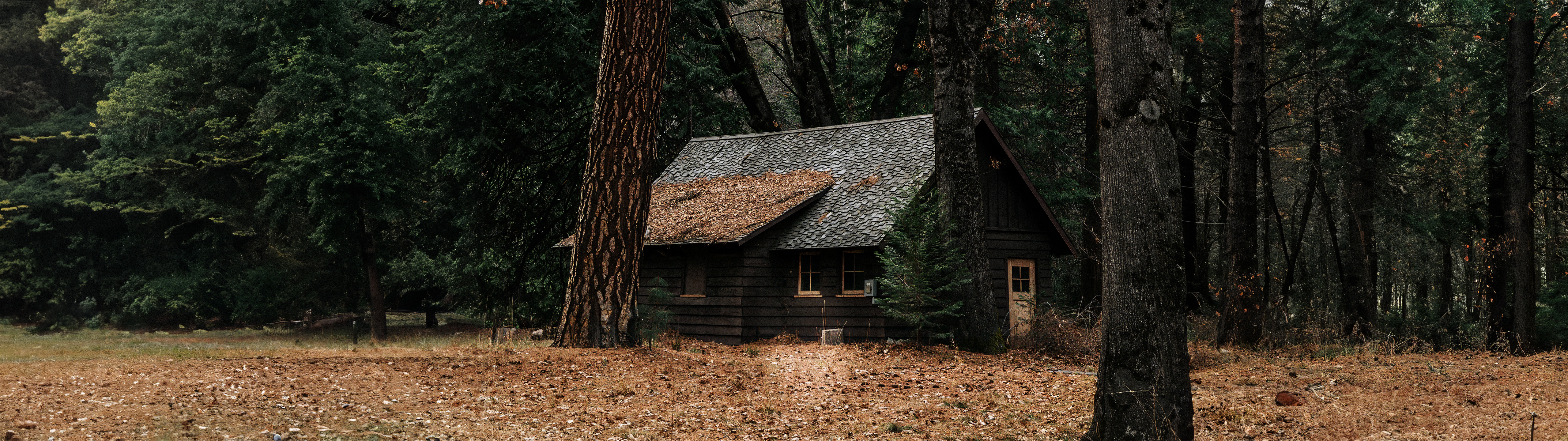 Forest Cabin Ultrawide Outdoors 5120x1440