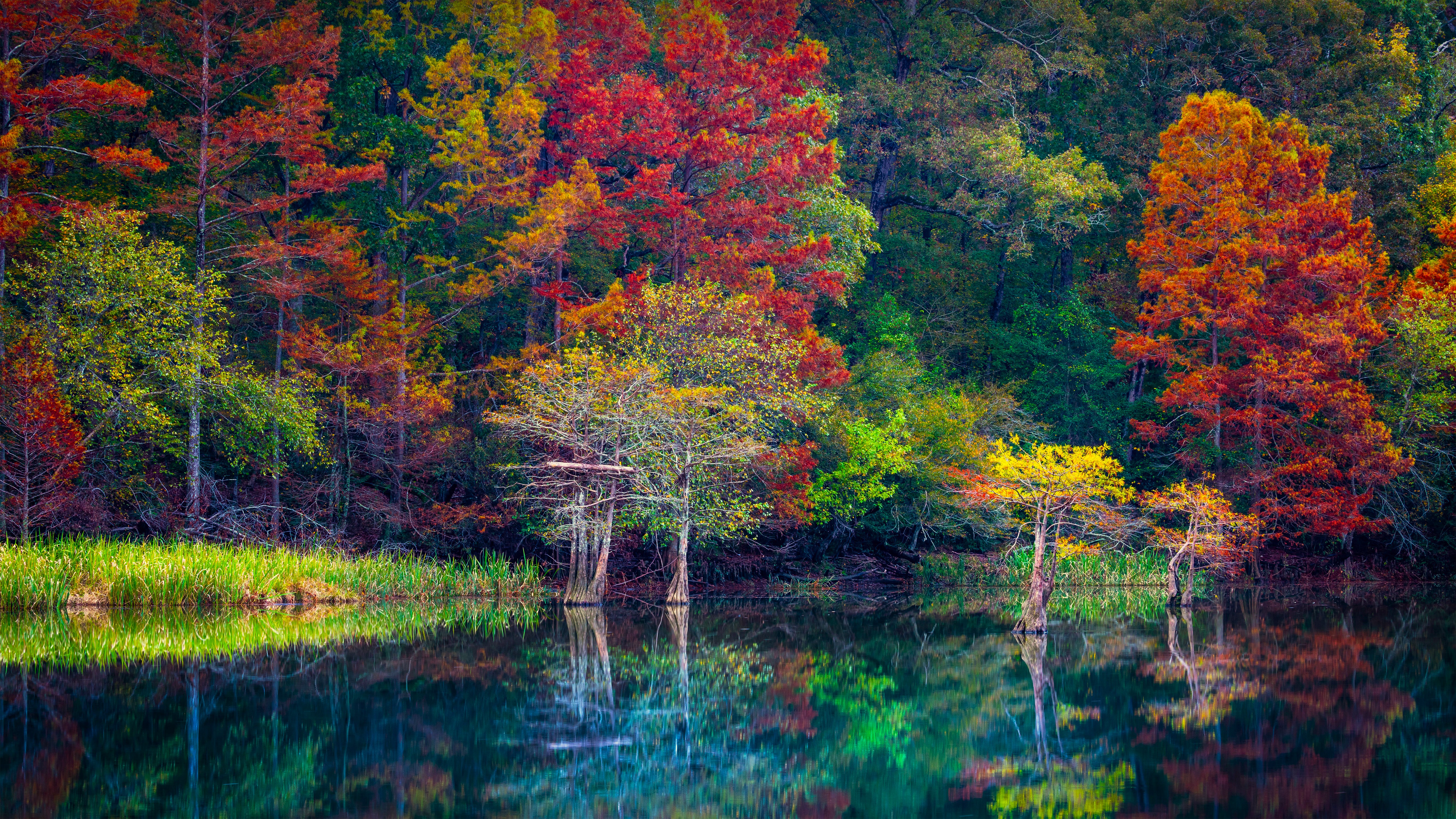 Nature Landscape Trees Leaves Foliage Lake Water Fall Reflection Forest Beavers Bend State Park Okla 5333x3000