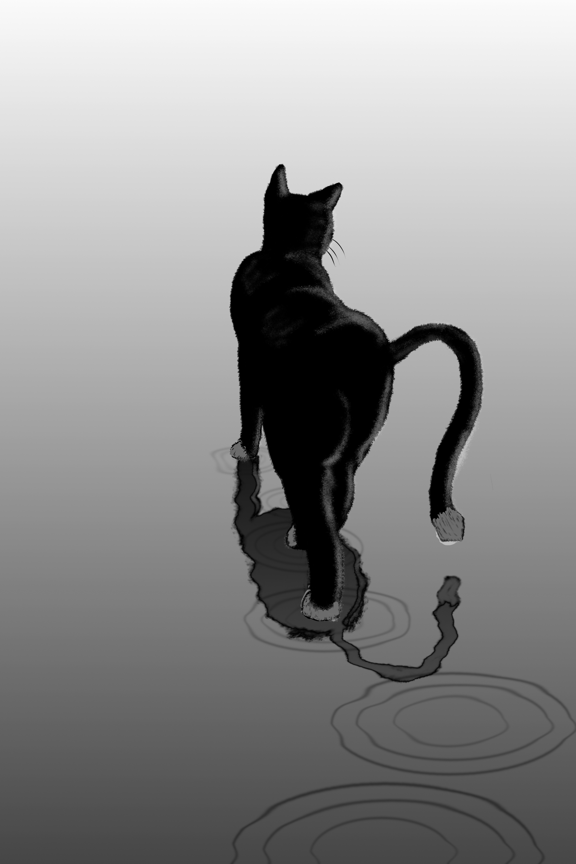 Black Cats Monochrome Waves Water Cats Feline Mammals Animals 2000x3000