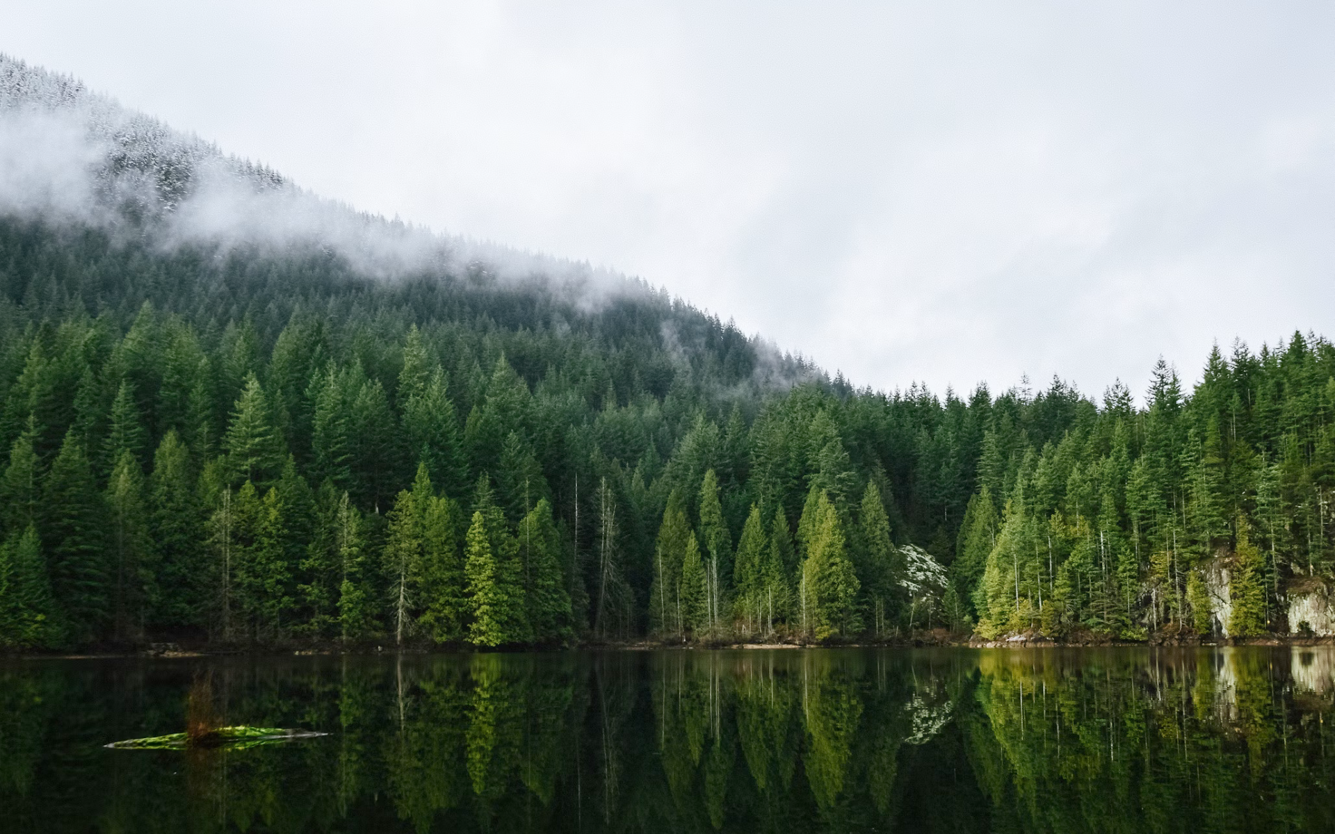 Nature Landscape Lake Trees Forest Pine Trees Mist Reflection Vancouver Canada 1920x1200