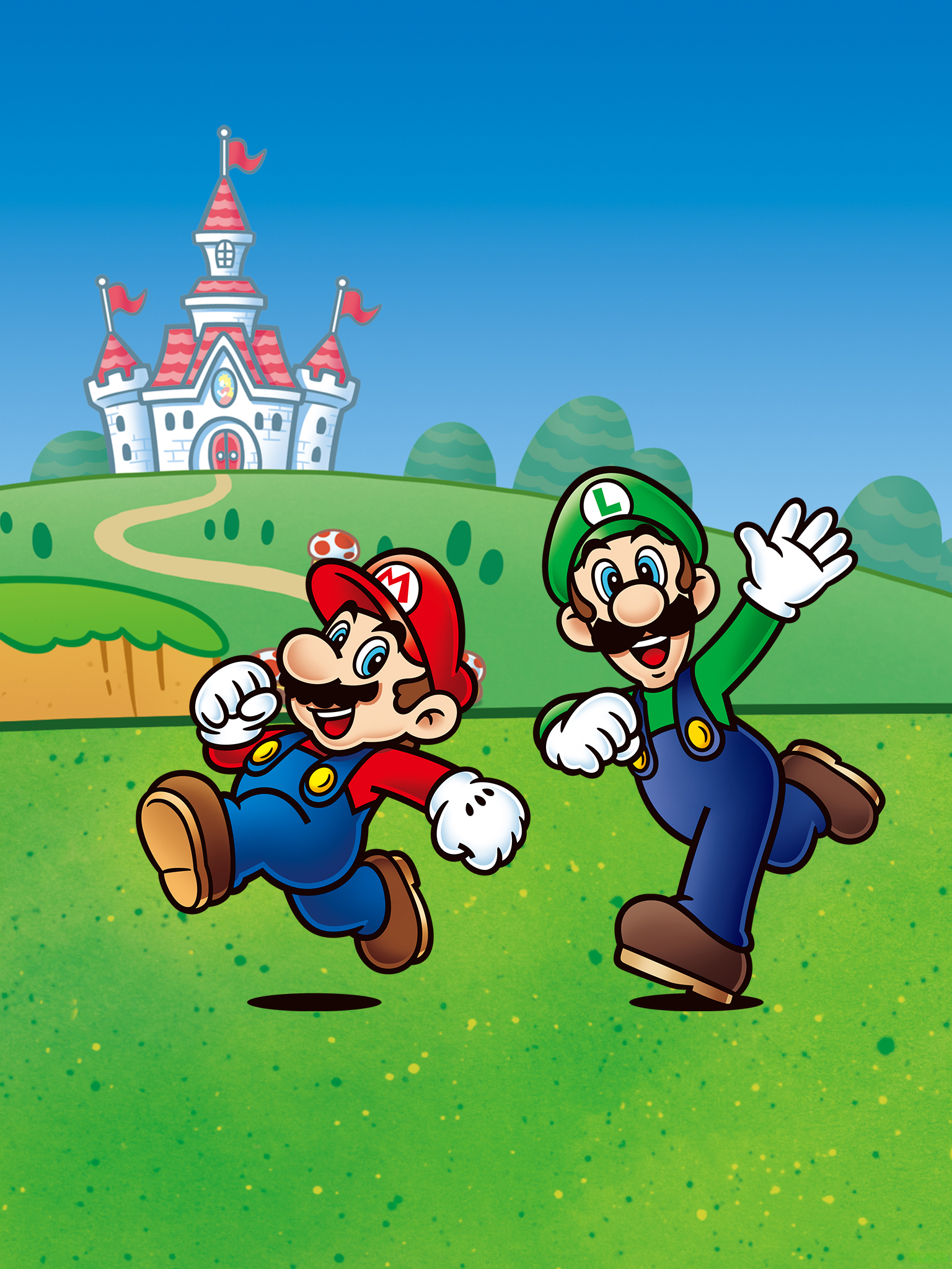 Video Game Art Mario Luigi Mushroom Kingdom Nintendo 1536x2048