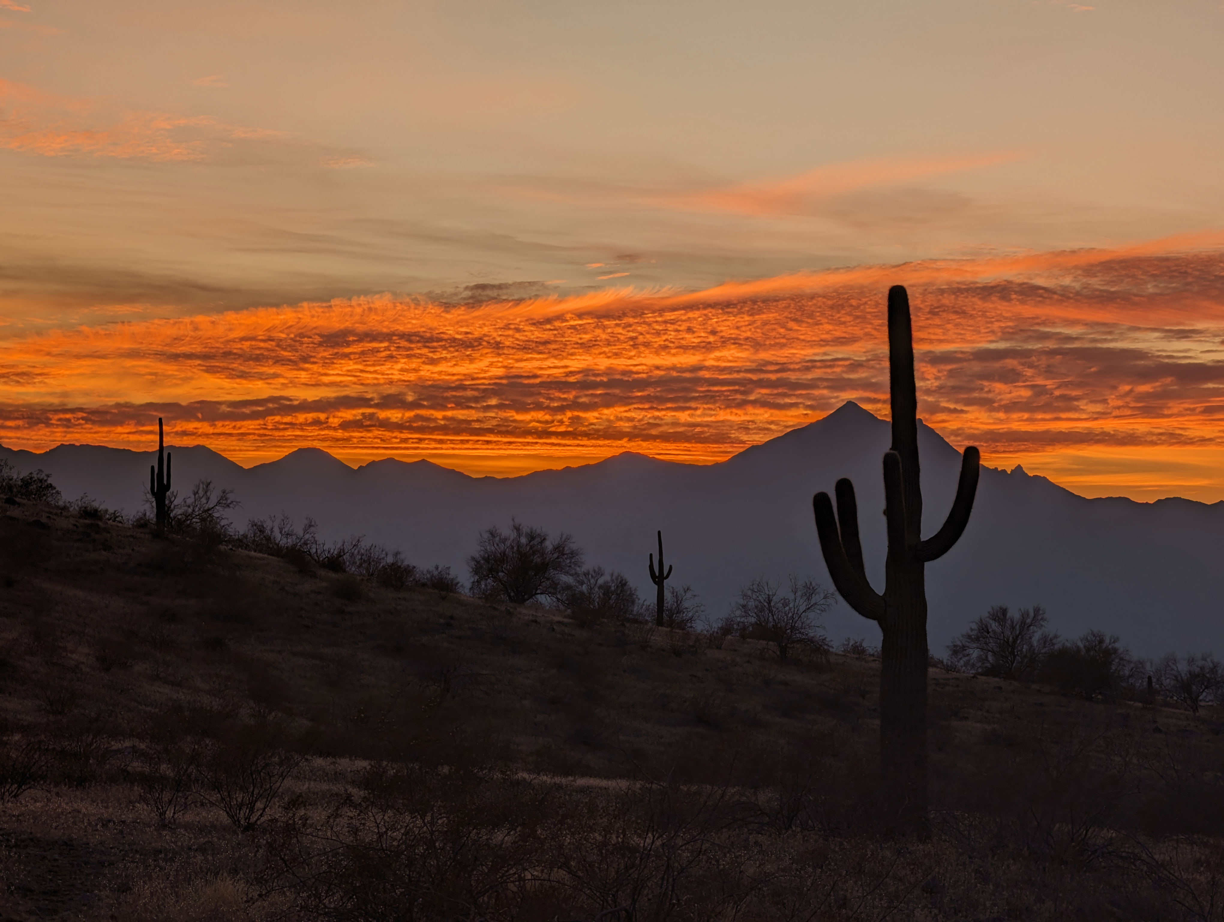 Cactus Arizona Phoenix City Desert Mountains Clouds Sunset Nature Dusk Hills Silhouette 4080x3072
