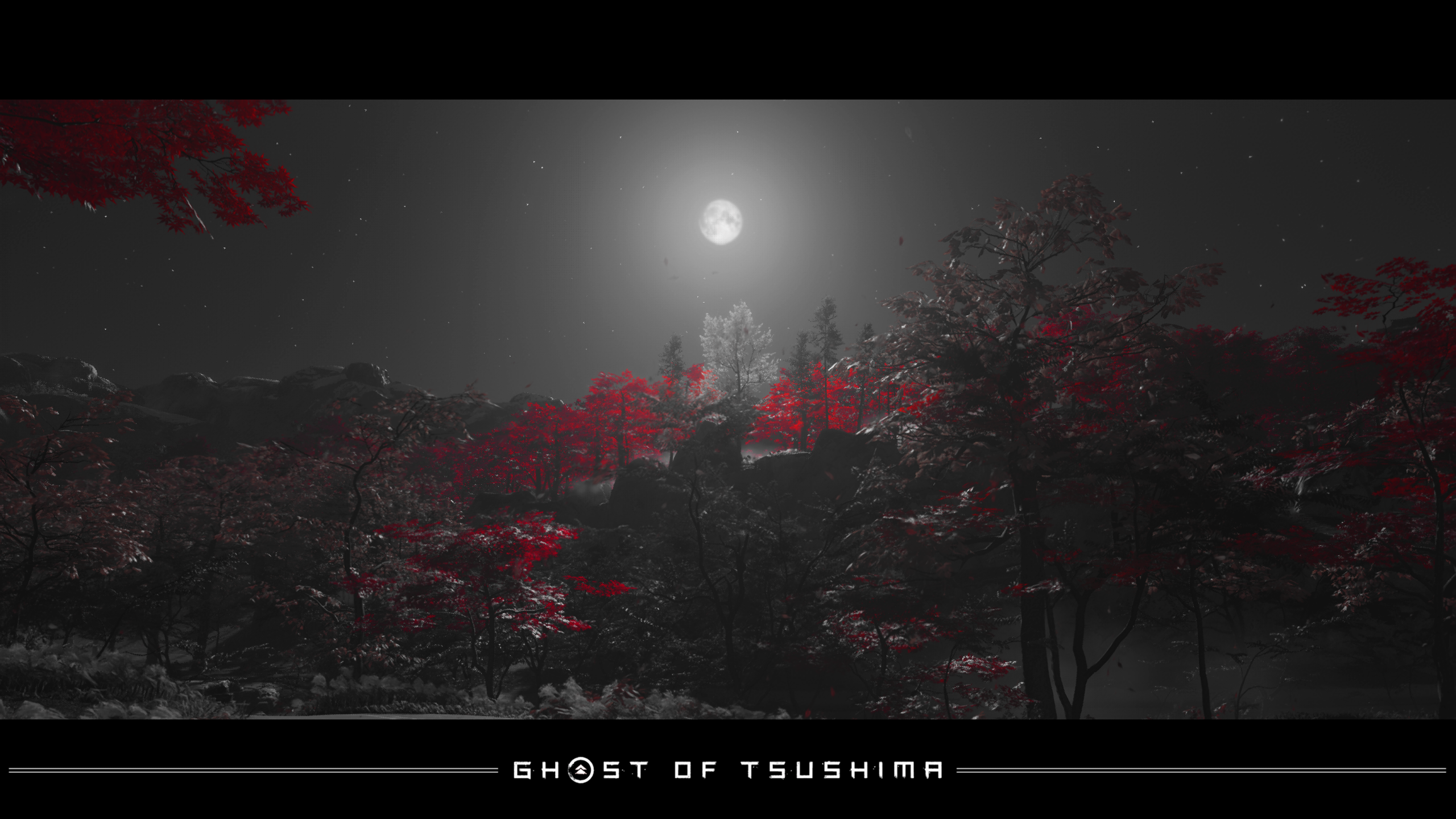 Ghost Of Tsushima Nature Night Maple Tree Screen Shot Video Games Sucker Punch Productions Activisio 2560x1440