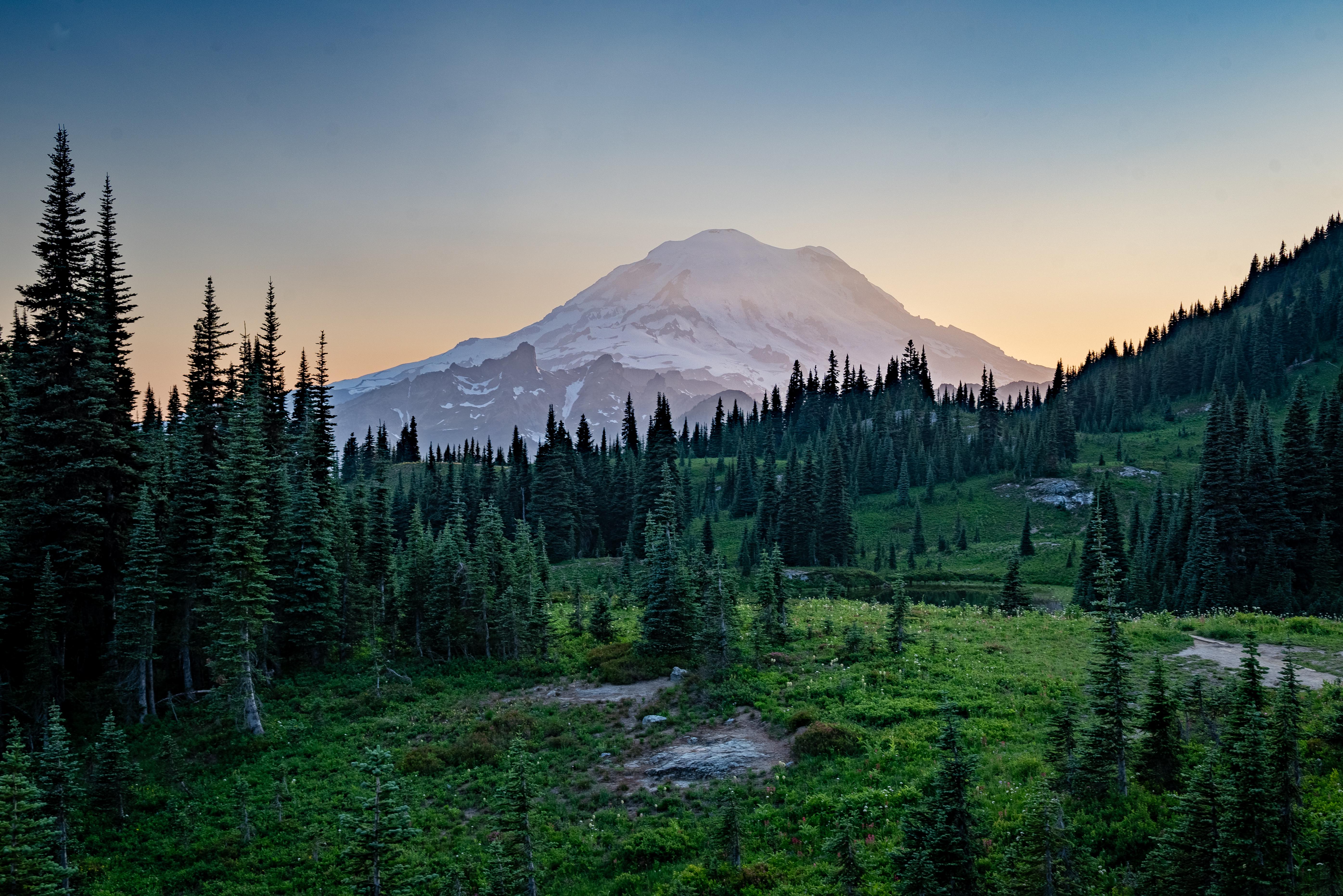 Mountains Forest Field Snow Washington State Mount Rainier National Park Mount Rainier Landscape Nat 5582x3726