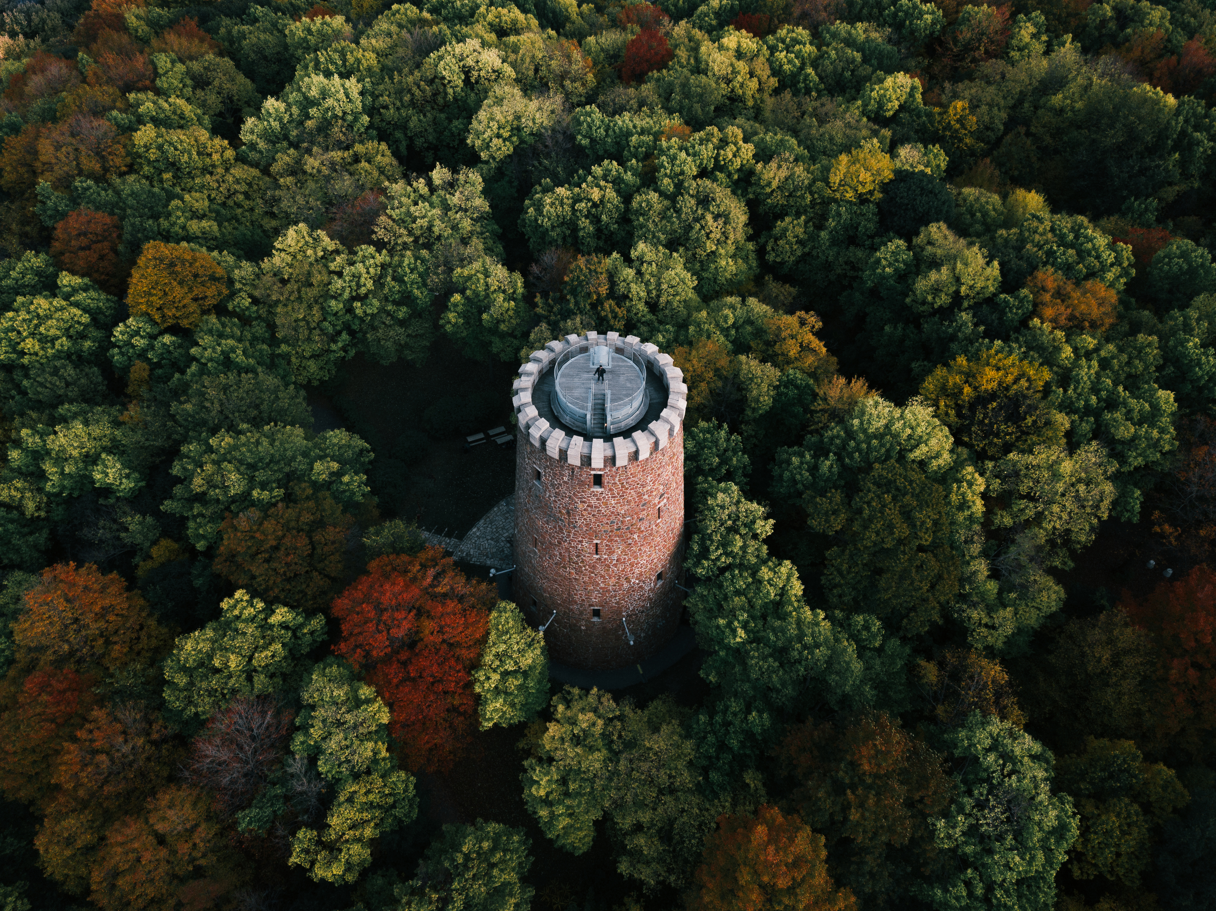 Nature Trees Forest Building High Angle Tower Montreal Canada 3943x2956