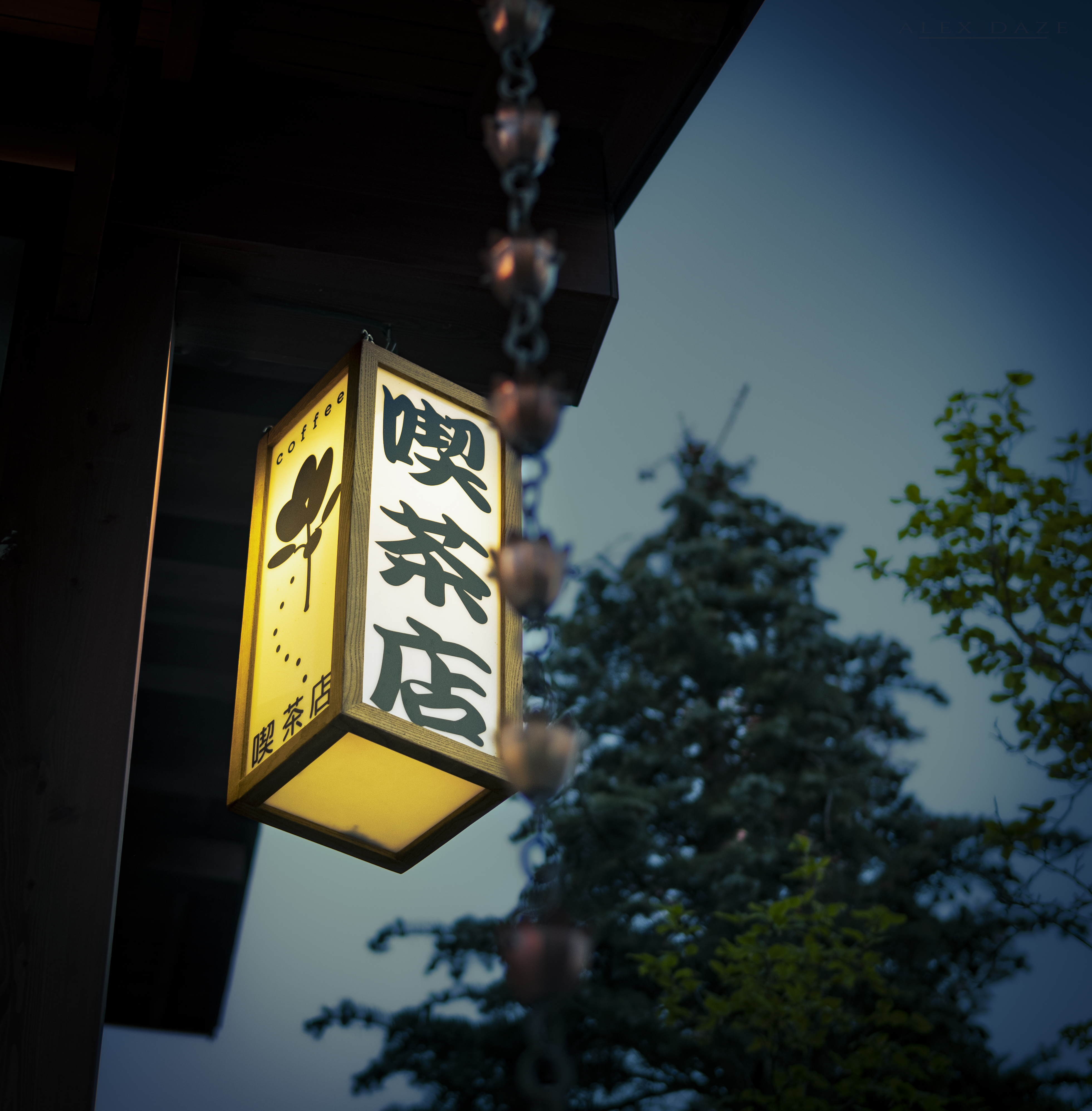 Photography Lantern Japanese Chains Sky Trees House Portrait Display Evening 3922x3988