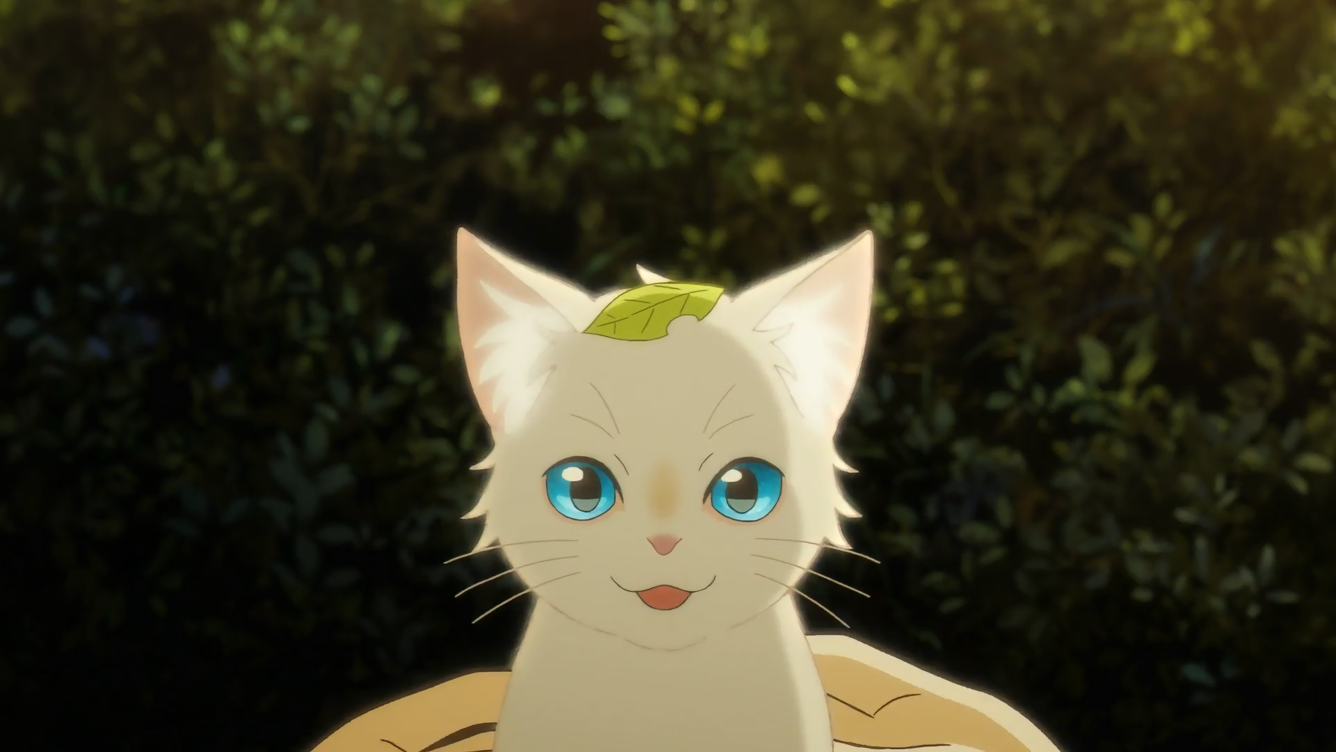 A Whisker Away Miyo Sasaki Animals Looking At Viewer Nature Anime Screenshot Cats 1920x1080