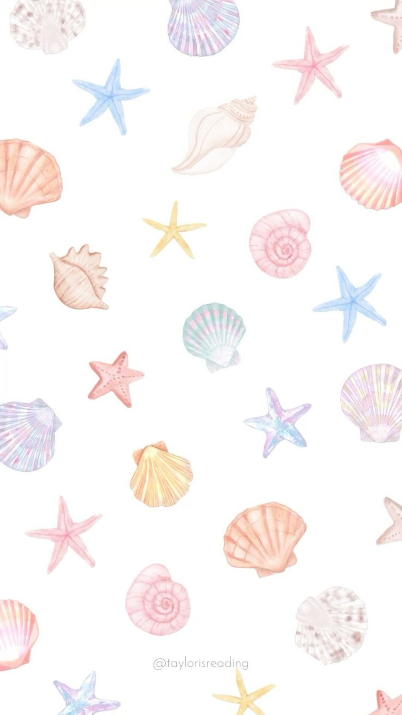 Portrait Display Seashells Starfish Pink Blue Orange Purple Sea 1280x2275