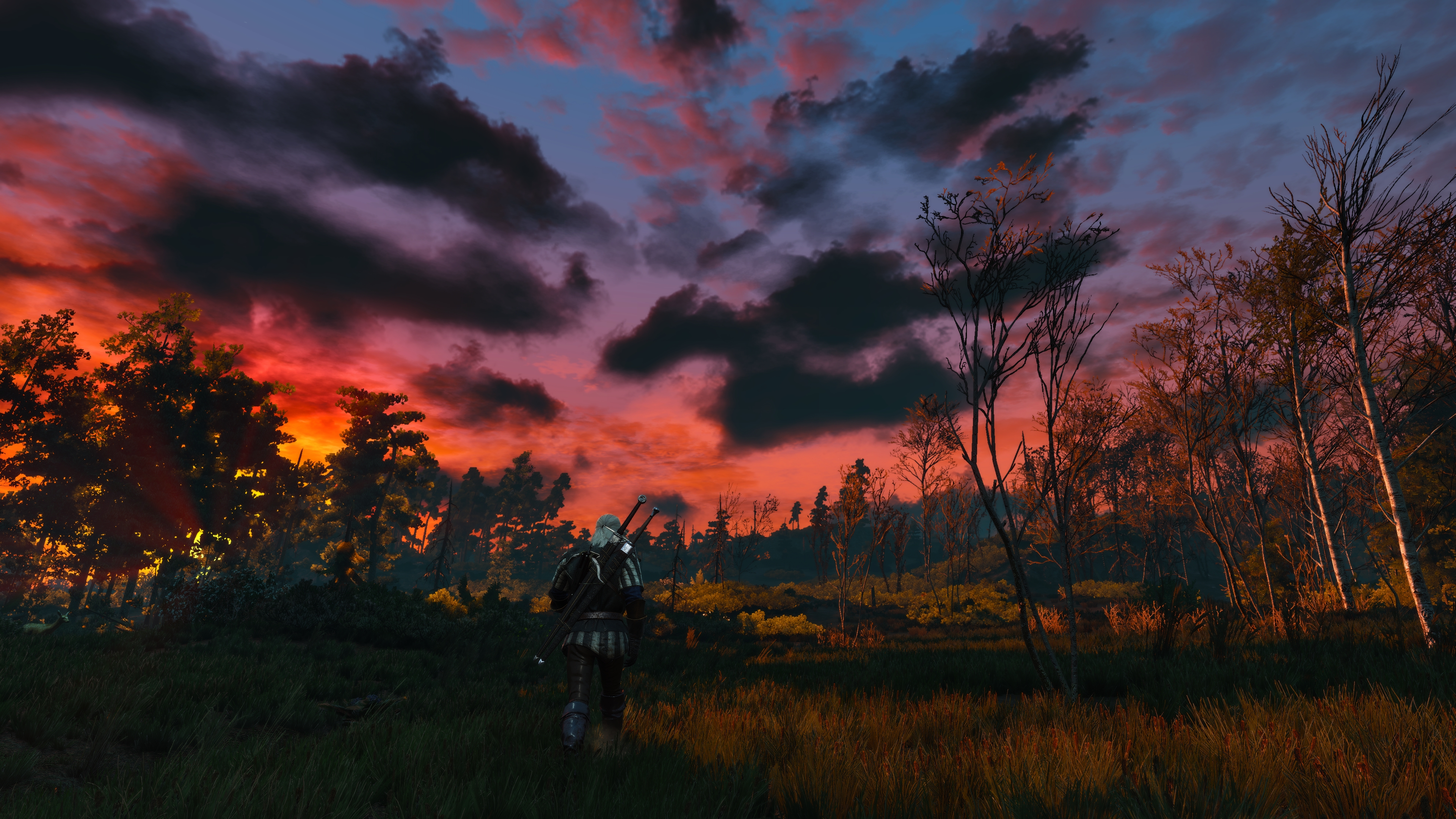 The Witcher 3 Wild Hunt Screen Shot Video Games 3840x2160