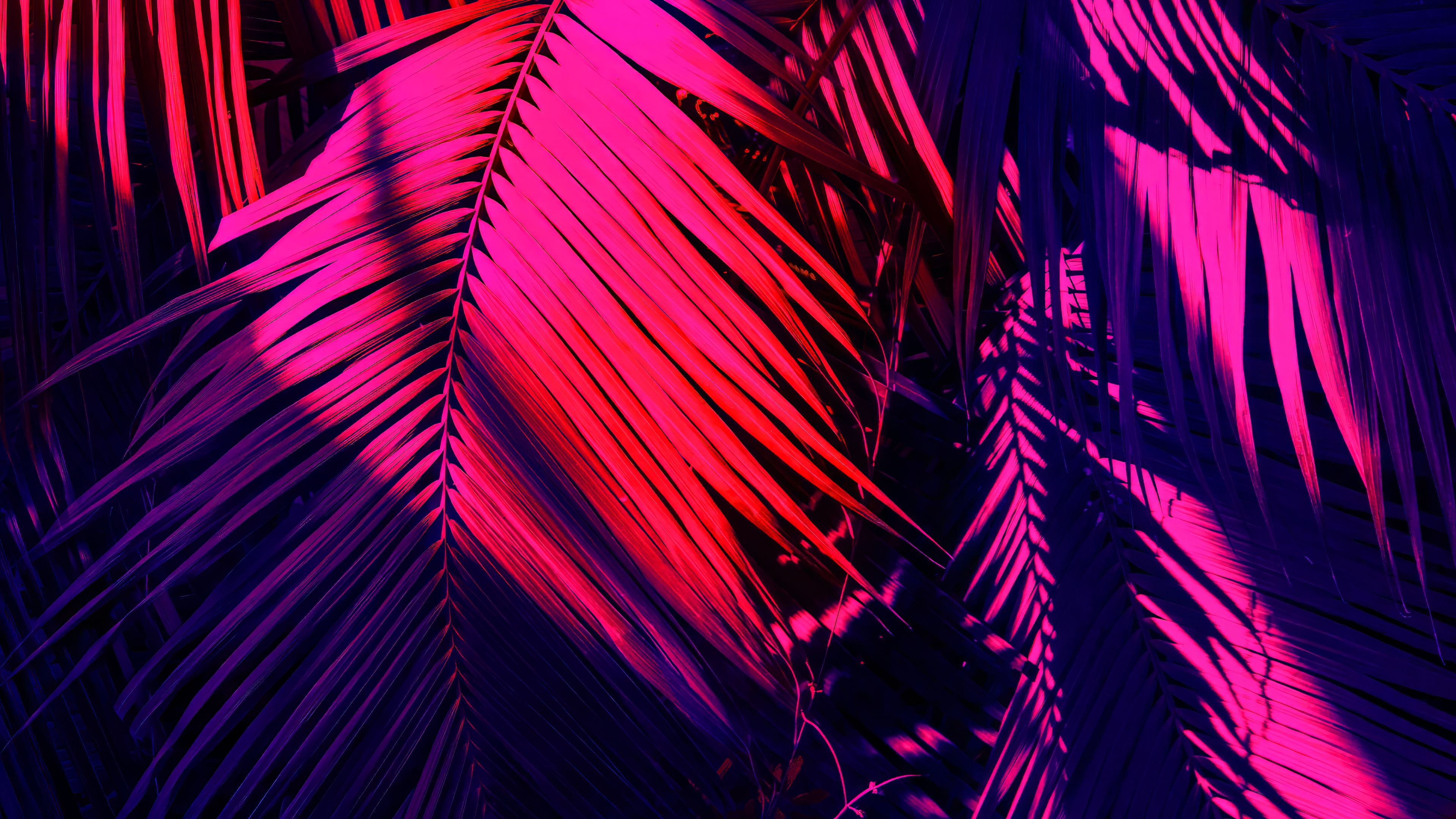 Neon Ferns Red Pink Blue Digital Art 3840x2160