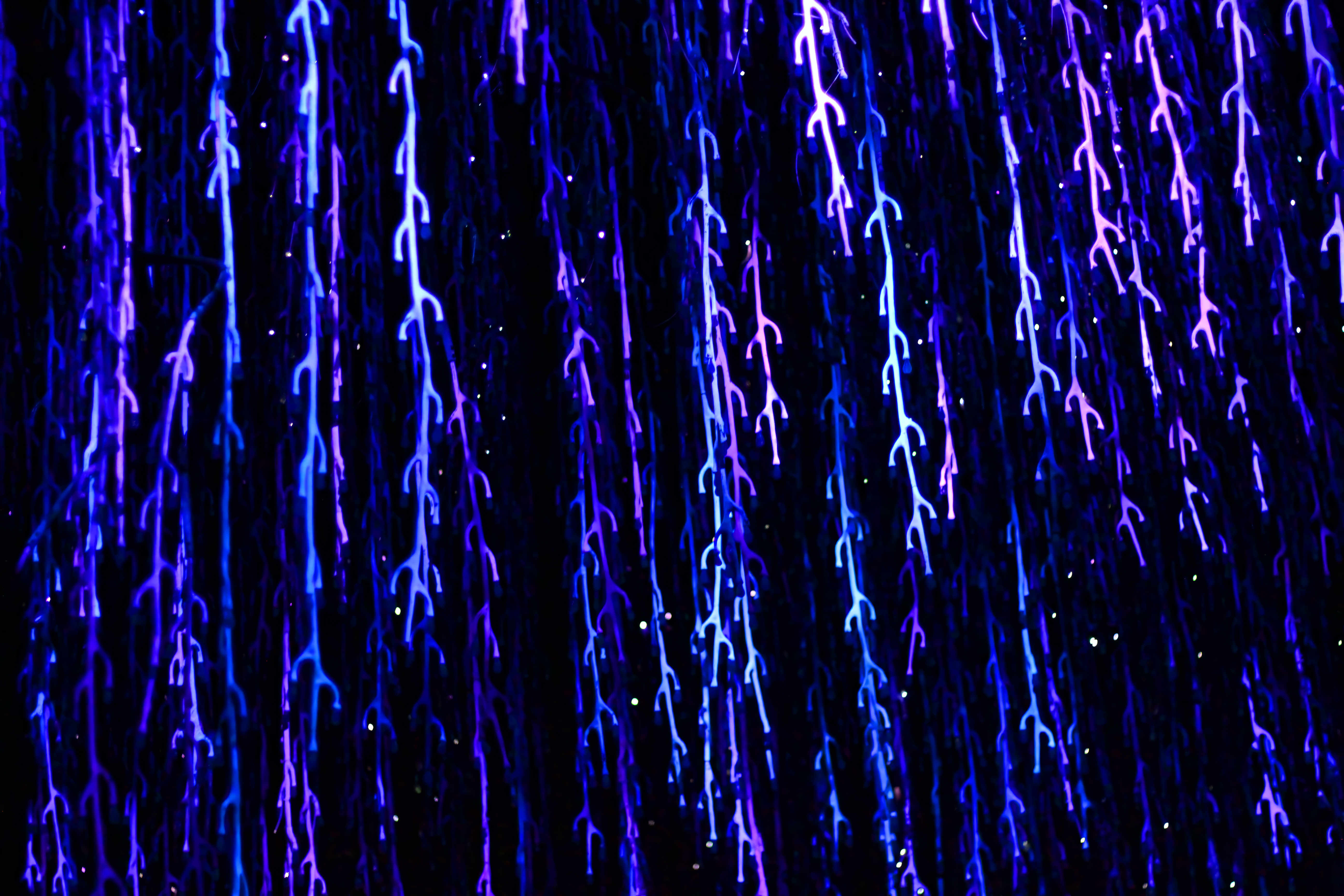 Blue Neon Futuristic Lights Light Effects Abstract Digital Art 5184x3456