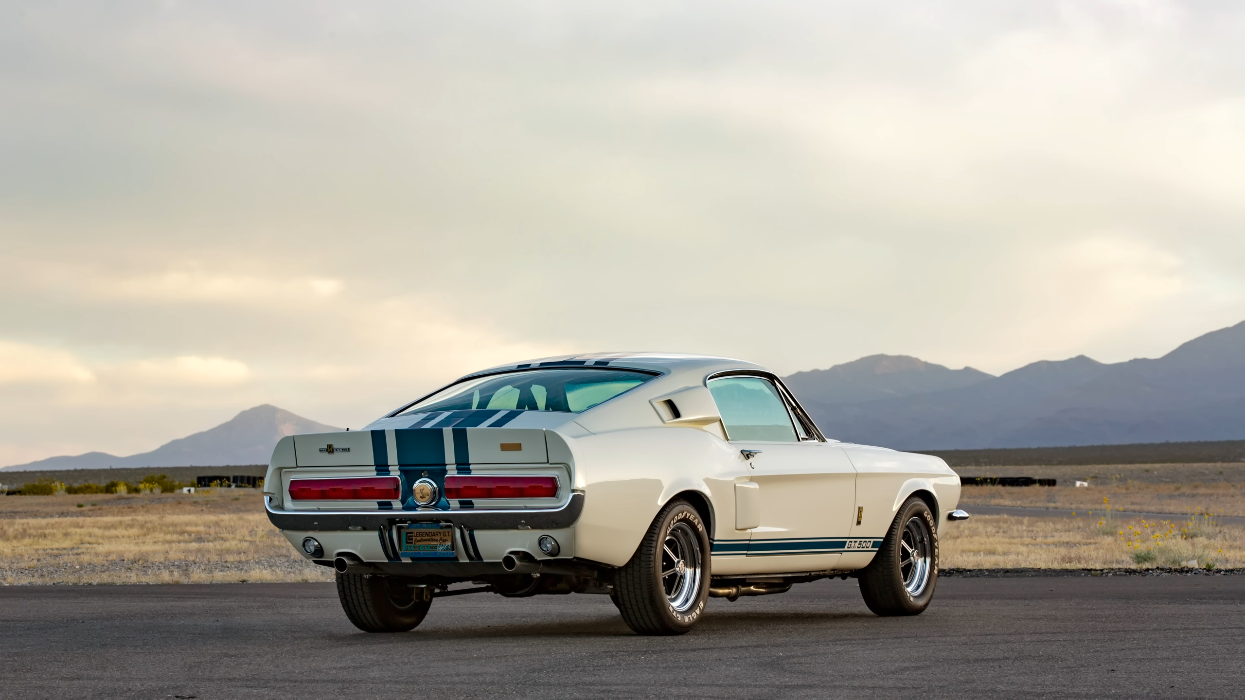 Car Muscle Cars Ford Mustang Shelby 2560x1440