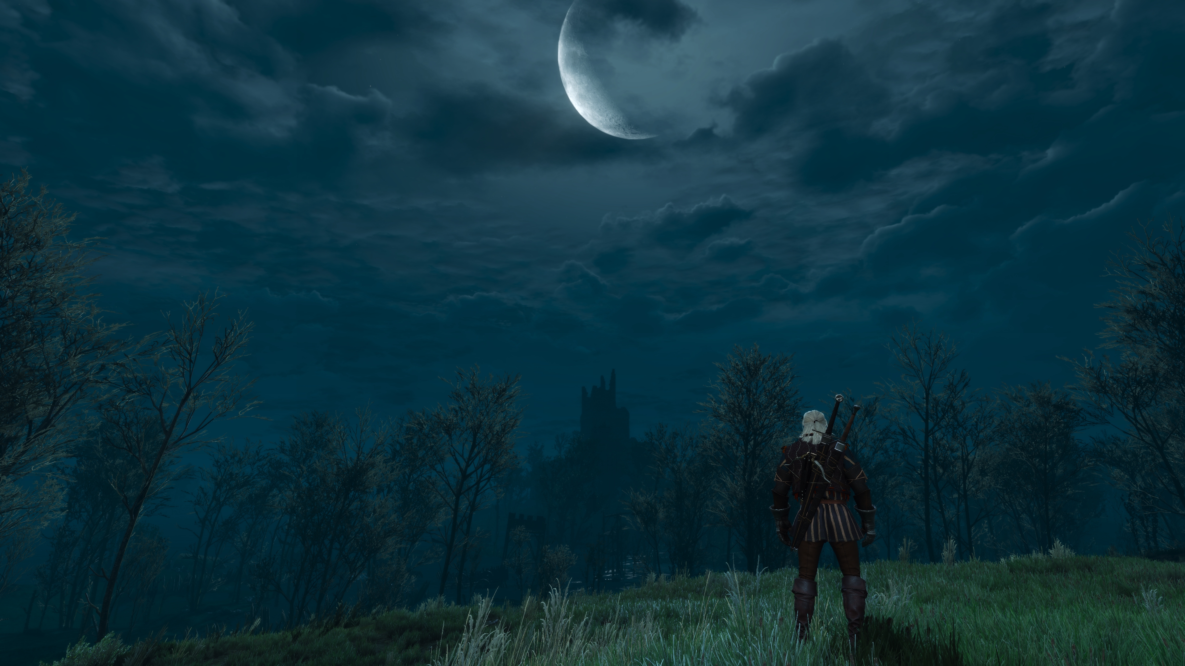 The Witcher 3 Wild Hunt Screen Shot Video Games Moon Night Moonlight Geralt Of Rivia Trees Book Char 3840x2160