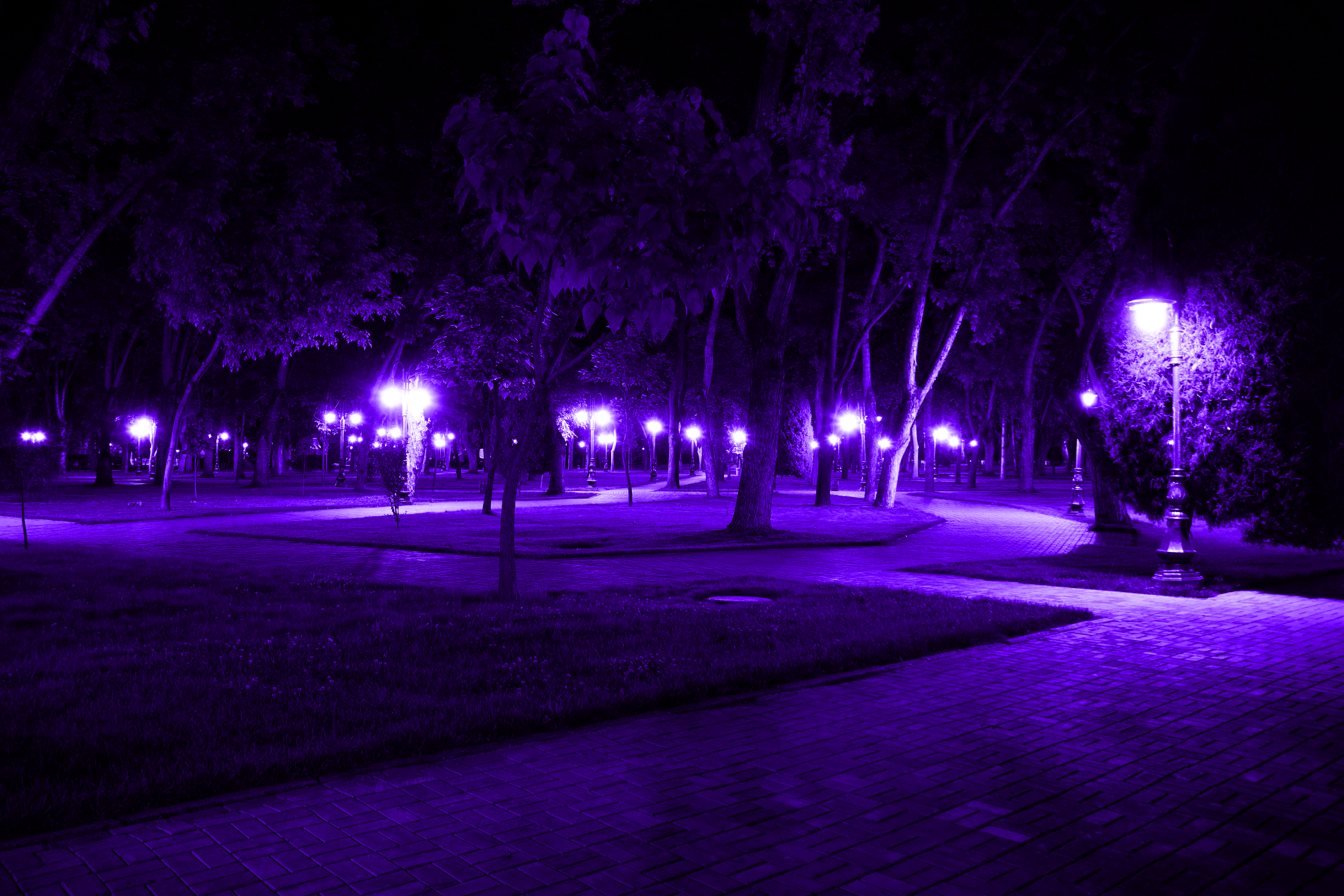 Park Night Lights Purple Pink Dark Trees Grass 5938x3959