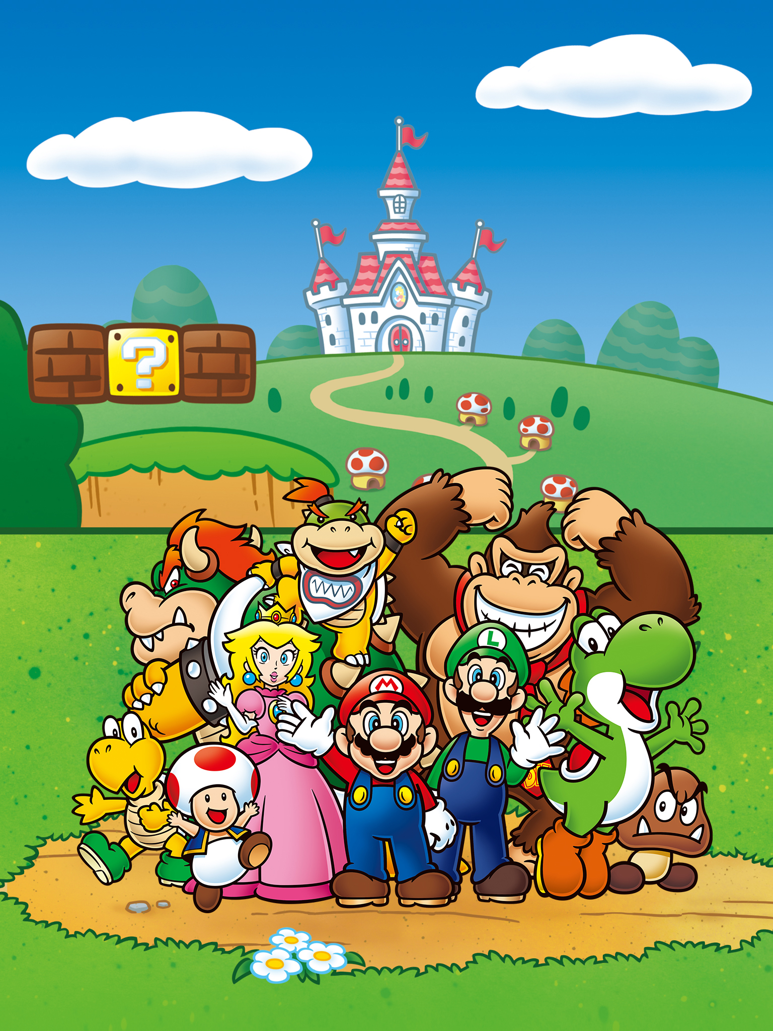 Nintendo Mushroom Kingdom Super Mario Bowser Baby Bowser Luigi Mario Toad Character Donkey Kong Yosh 1536x2048