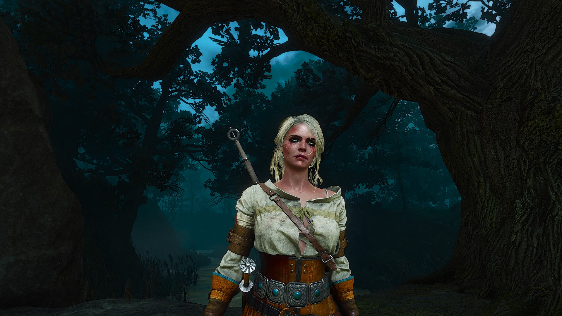 The Witcher 3 Wild Hunt Blood And Wine Cirilla Fiona Elen Riannon Screen Shot Video Games Video Game 1920x1080