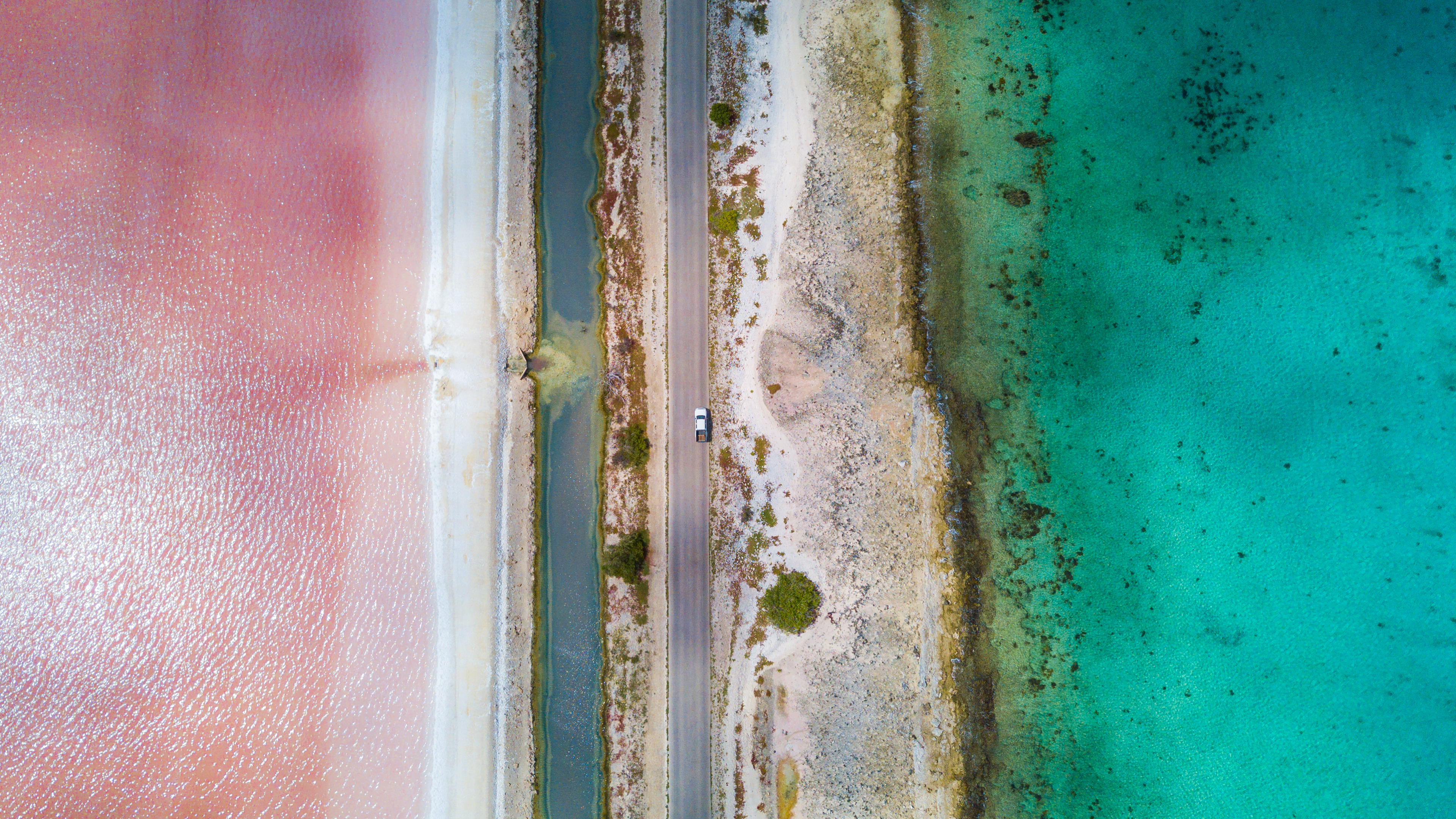 Road Pickup Trucks Sand Water Plants Top View Drone Photo Aerial View Carribean Car Sea 3840x2160