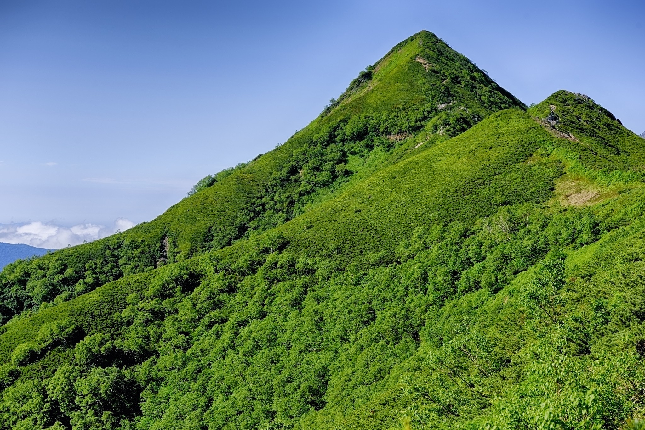 Landscape Mountains Trees Peak 2048x1367