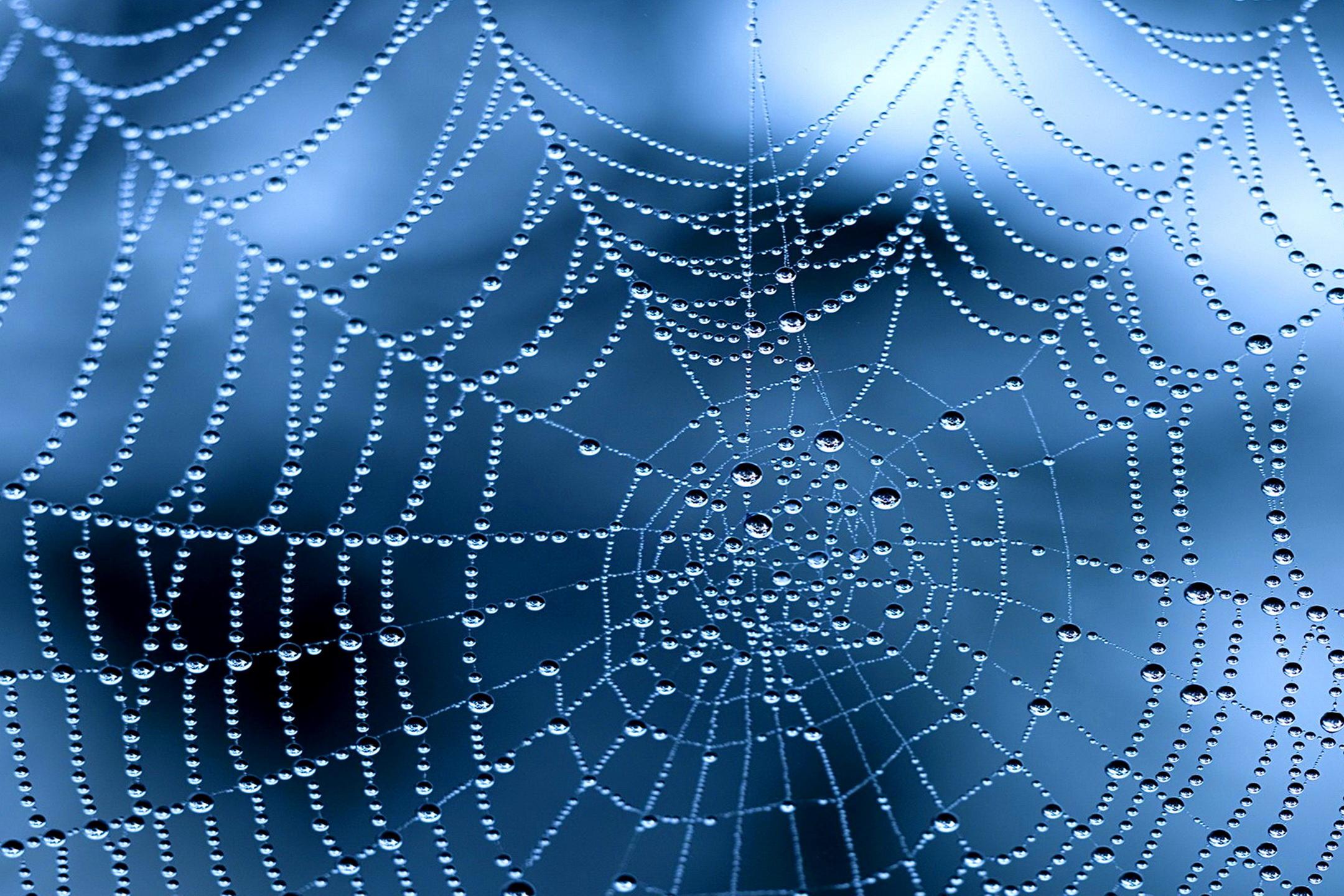 Spider Web Close Up Water Drop Dew Drop 2160x1440