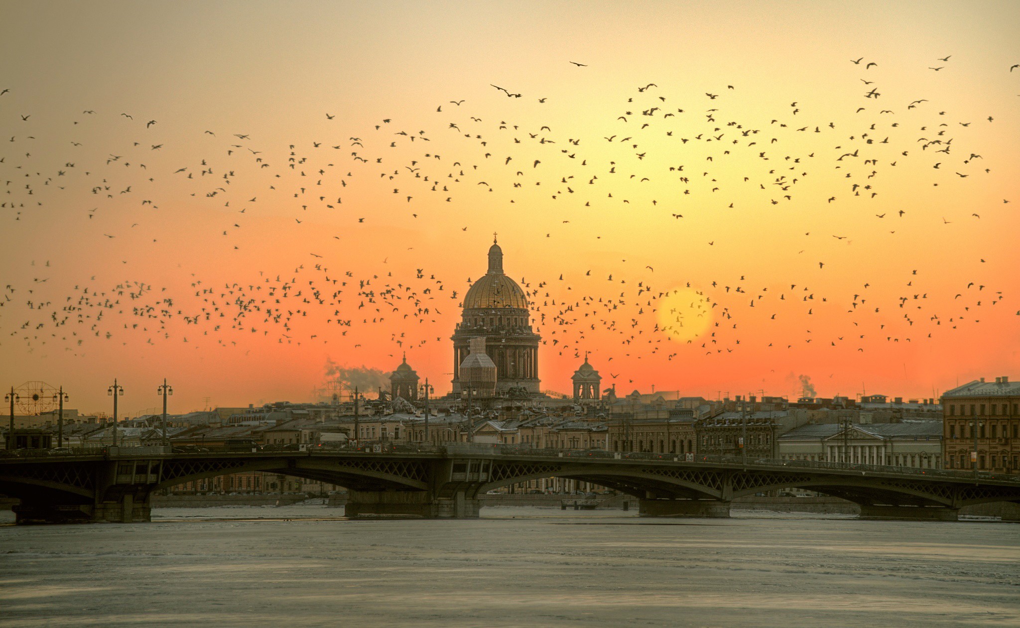 Cityscape Sun Sunset River Bridge St Petersburg Russia Cathedral Architecture Building Birds Leningr 2048x1261