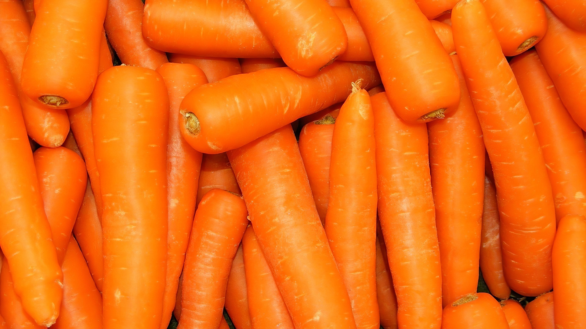 Food Vegetable Carrot Orange Color 1920x1080