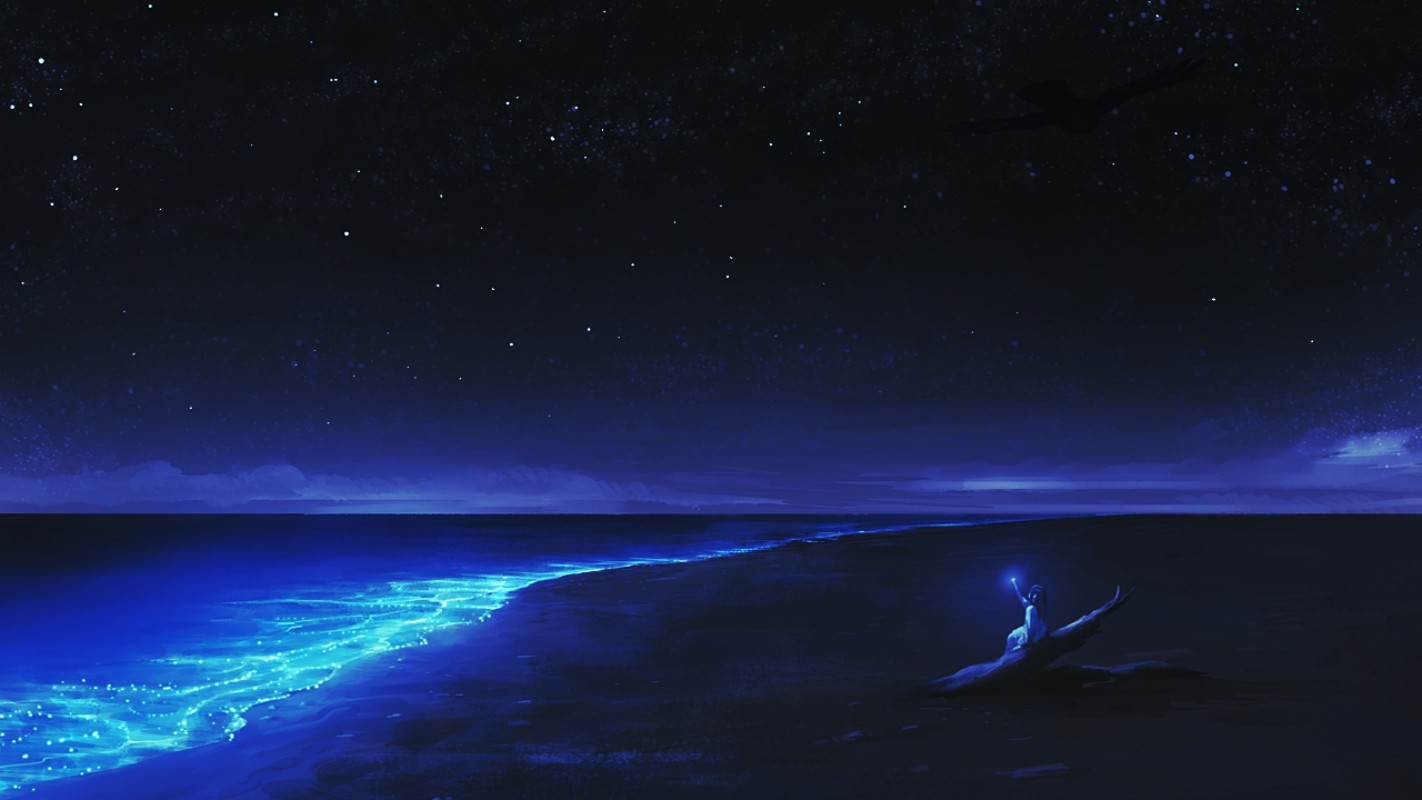 Another Hope Dark Sky Night Beach Anime 1422x800