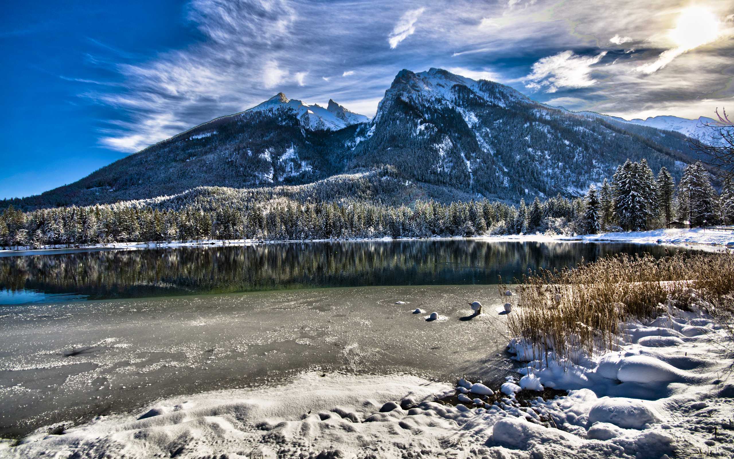 Lake Mountain Forest Winter Water Reflection Hintersee Bavaria Germany 2560x1600