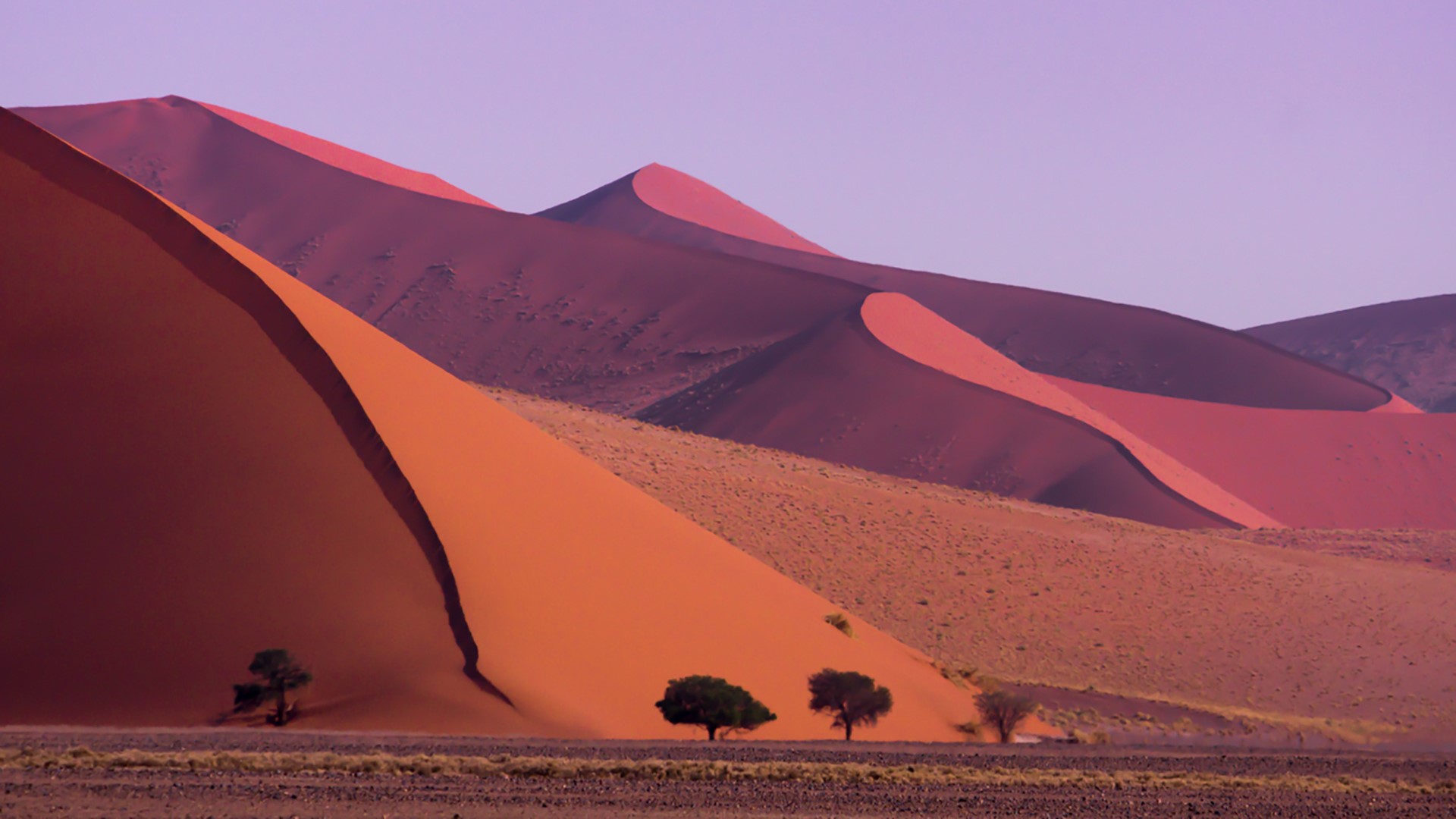 Landscape Desert Dunes Namibia 1920x1080