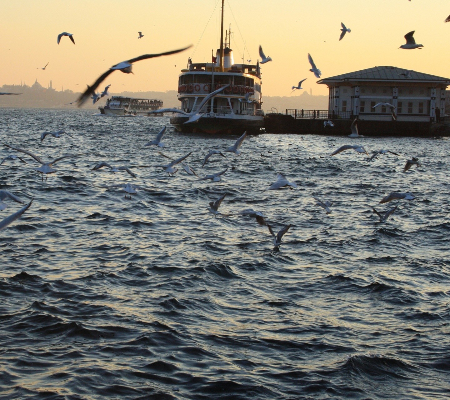 Ship Seagulls Bosphorus Landscape 1440x1280