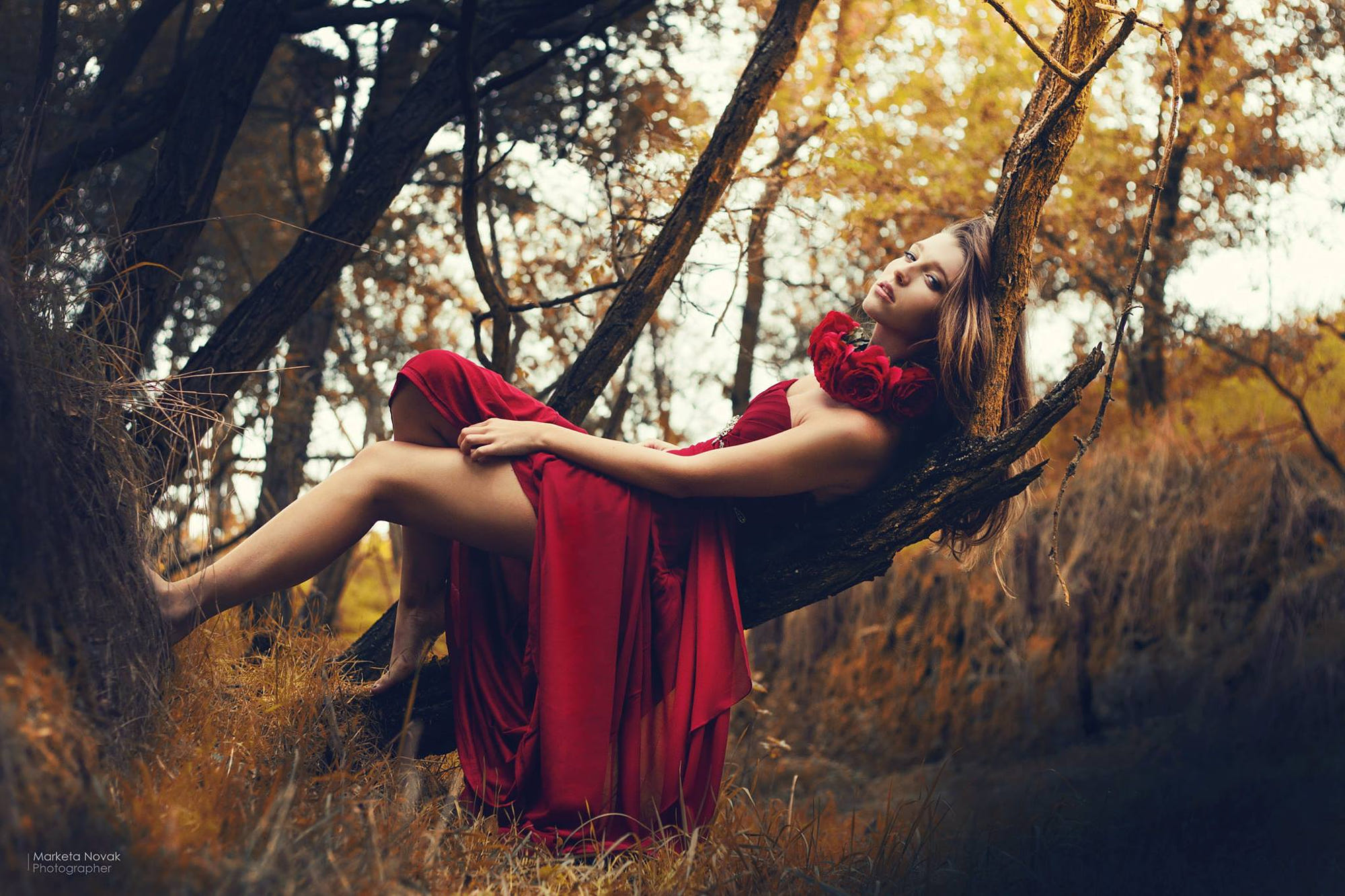 Marketa Novak Red Dress Trees Women Model Legs 2000x1333