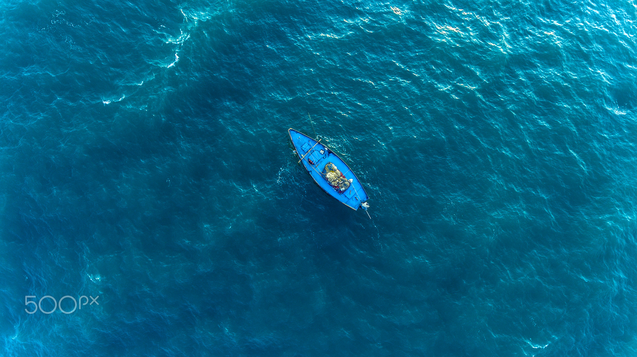 Aerial View Vehicle Water Boat Shark Dangerous Boat Blue Birds Eye View 2048x1150