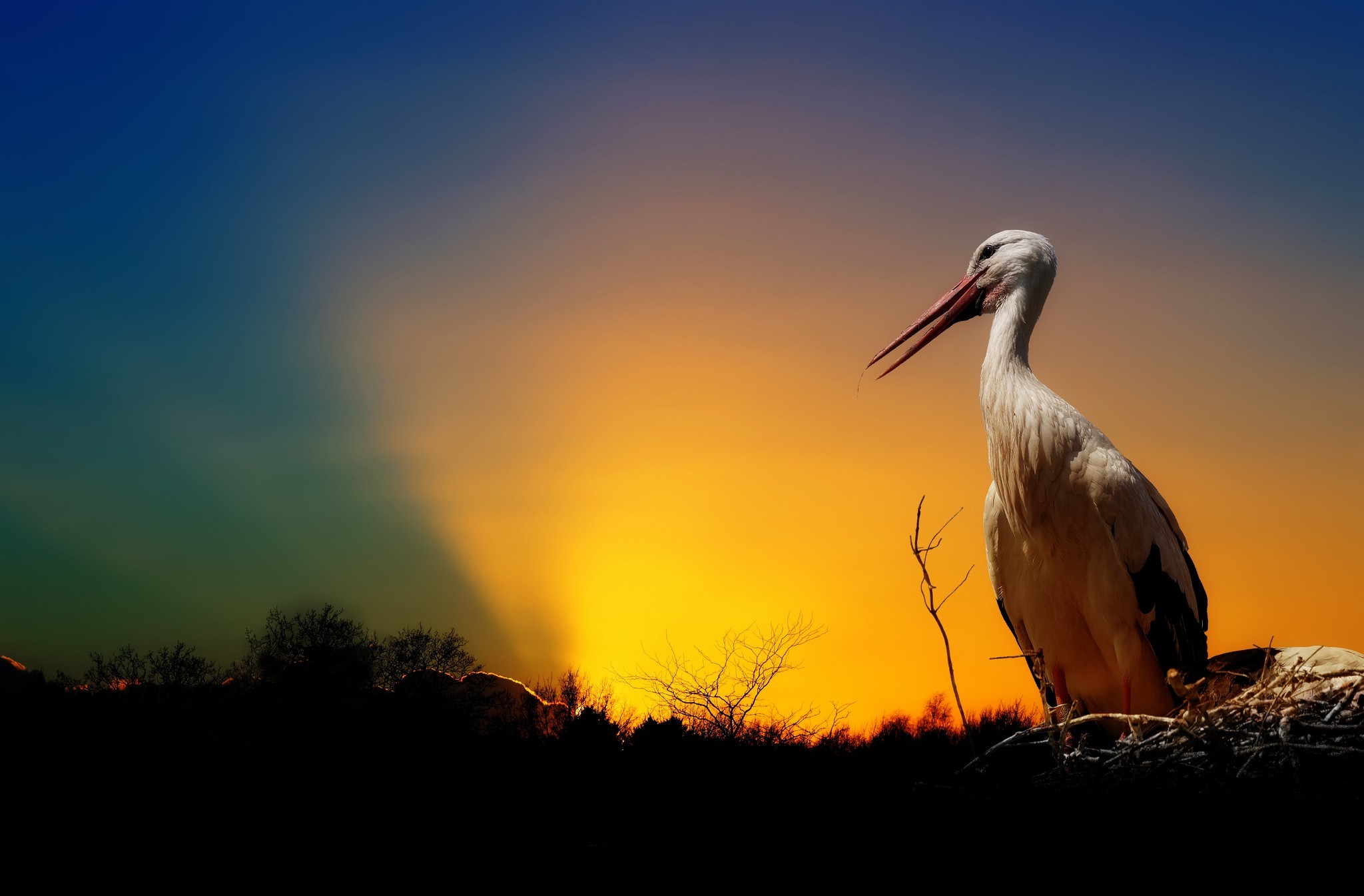 Stork Nest Sunset 2048x1345