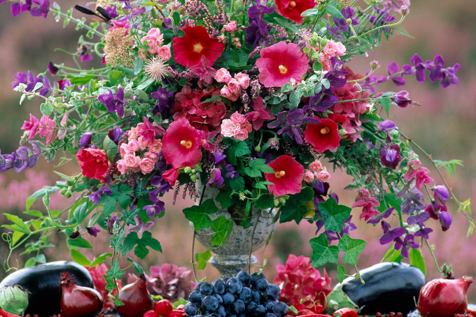 Still Life Flower Colors Colorful Vase Eggplant Grapes 1999x1333