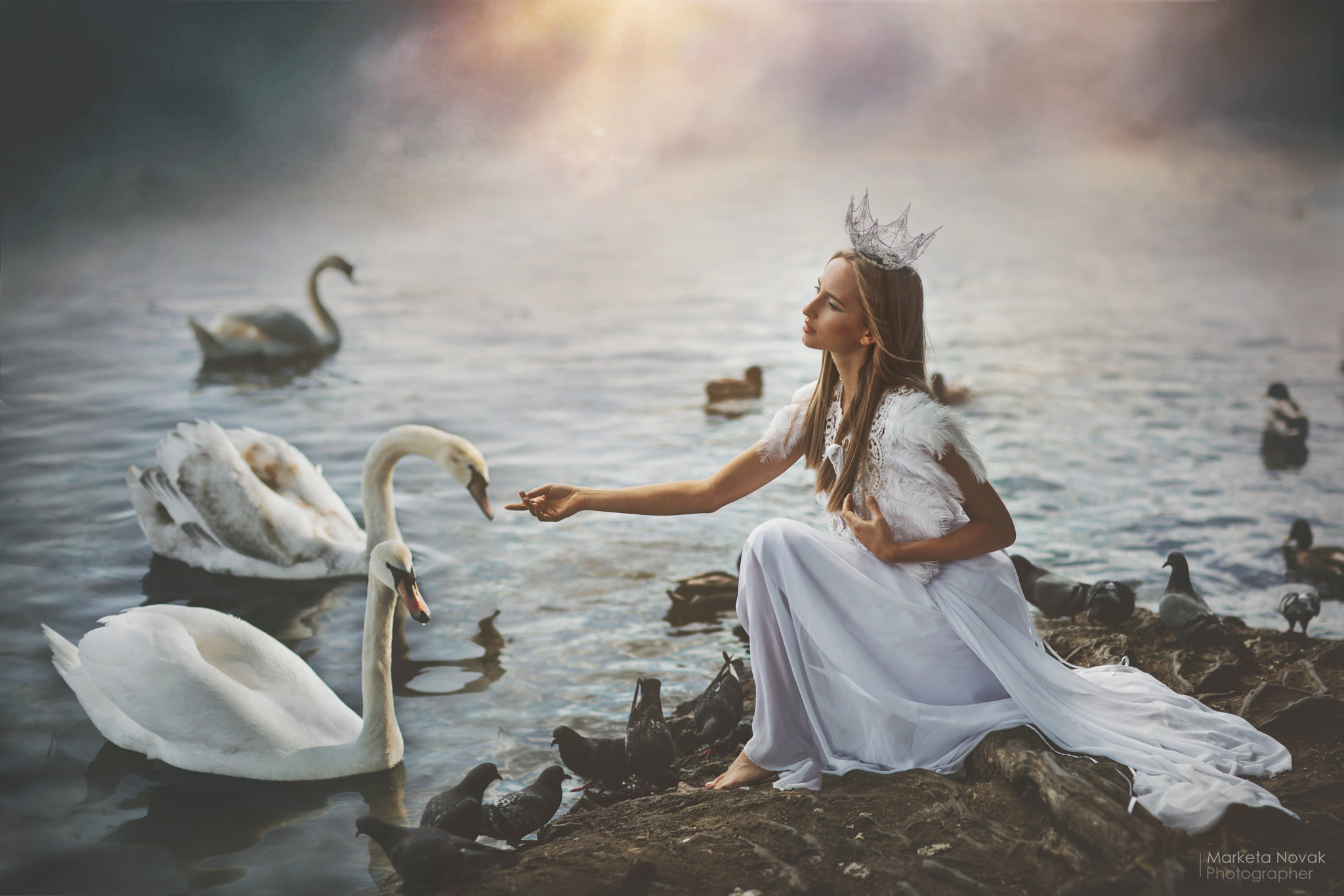 Marketa Novak Model Fantasy Girl Crown Women Swan Animals 2048x1366