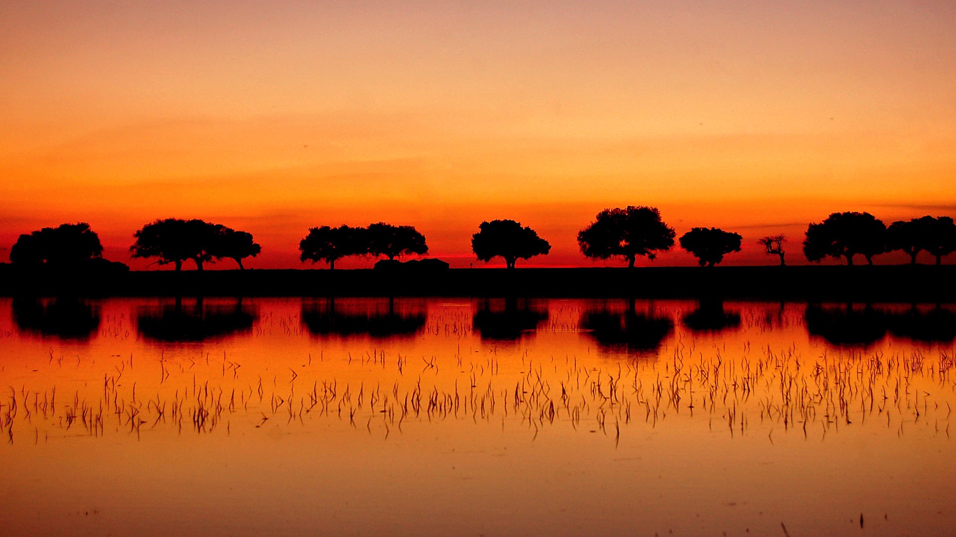 Sunset Red Sun Landscape Nature 1920x1080