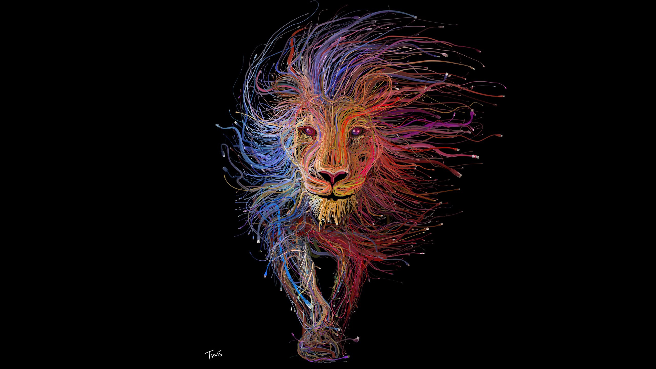 Lion Colorful Digital Art Animals Black Background Ethernet USB Wires Lion Minimalism USB 2560x1440