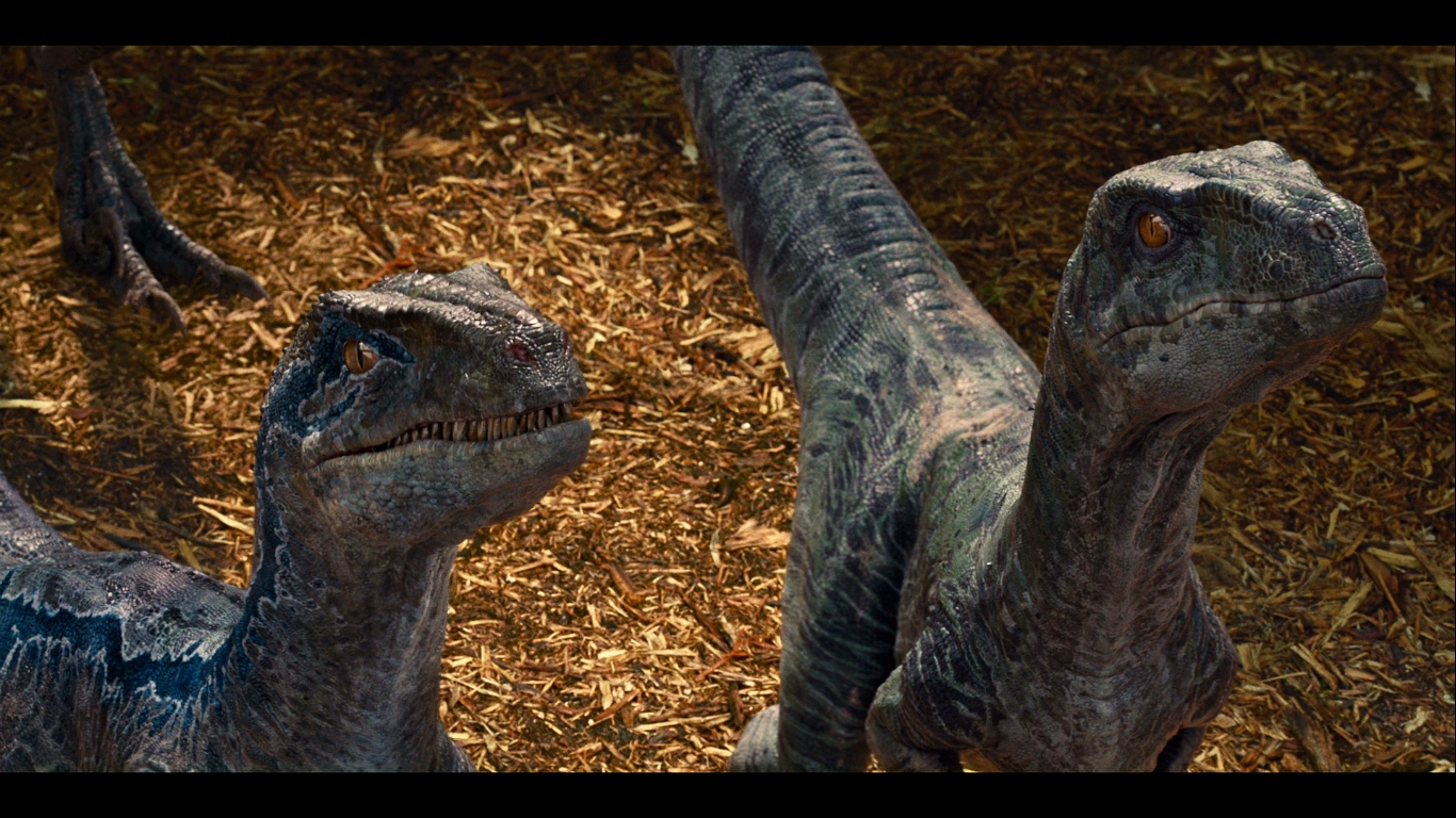 Jurassic World Dinosaurs Movies Velociraptors 1366x768