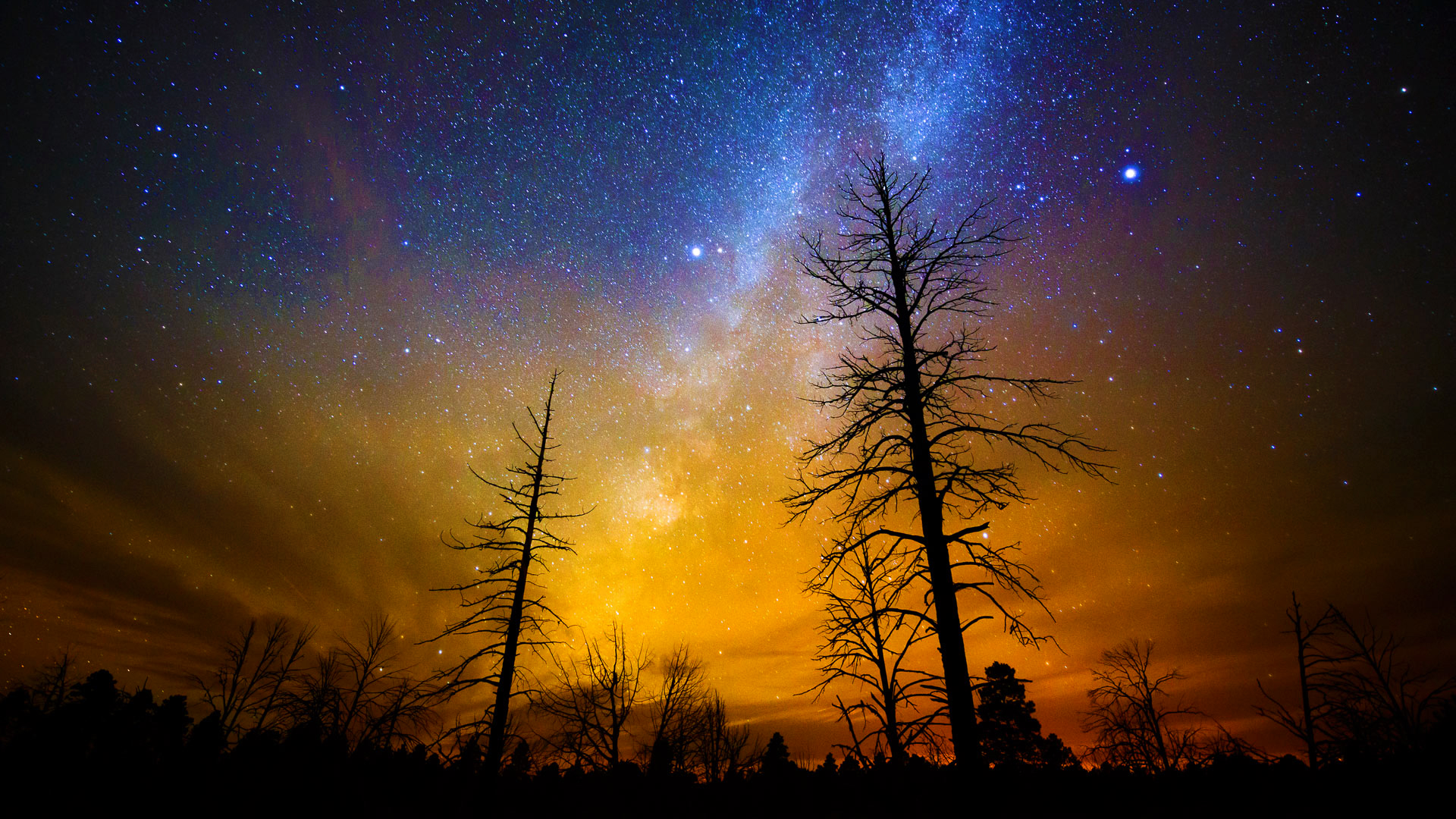 Landscape Nature Trees Fall Stars Milky Way Night Grand Canyon National Park Arizona USA 1920x1080